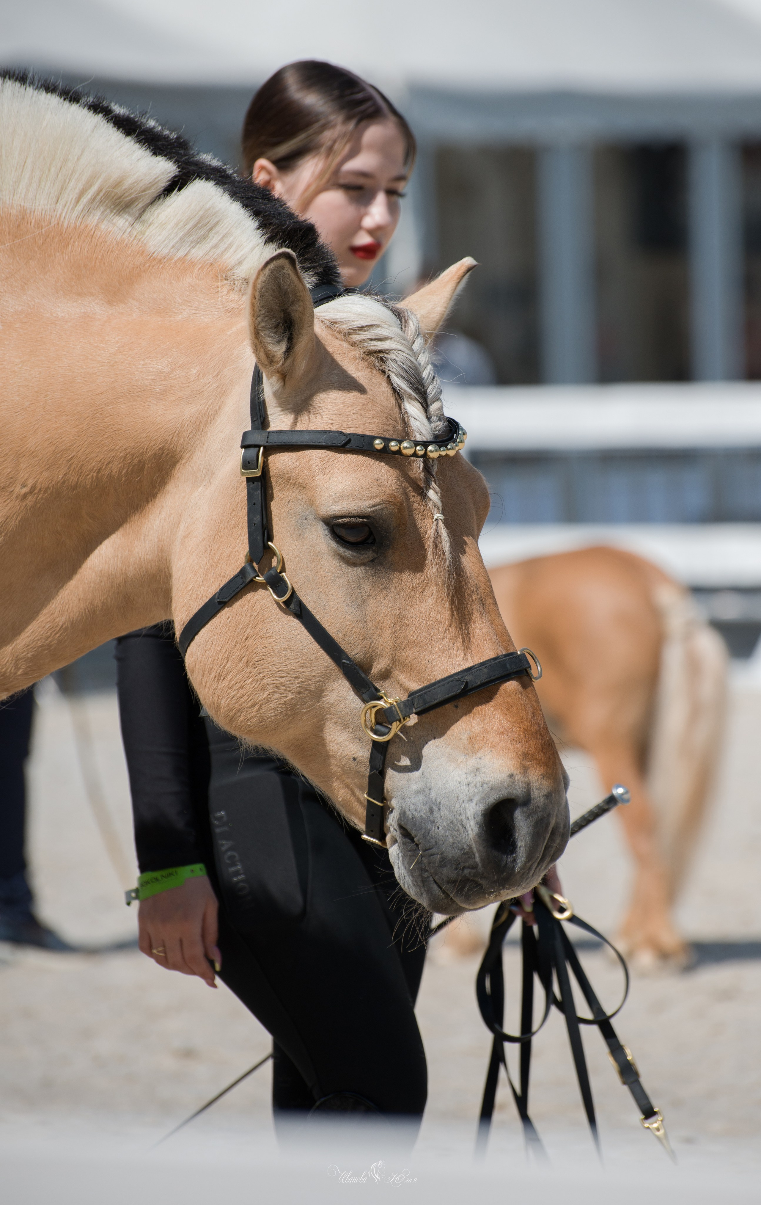 Эквирос, Москва. Конный фотограф в Саратове Юлия Иванова