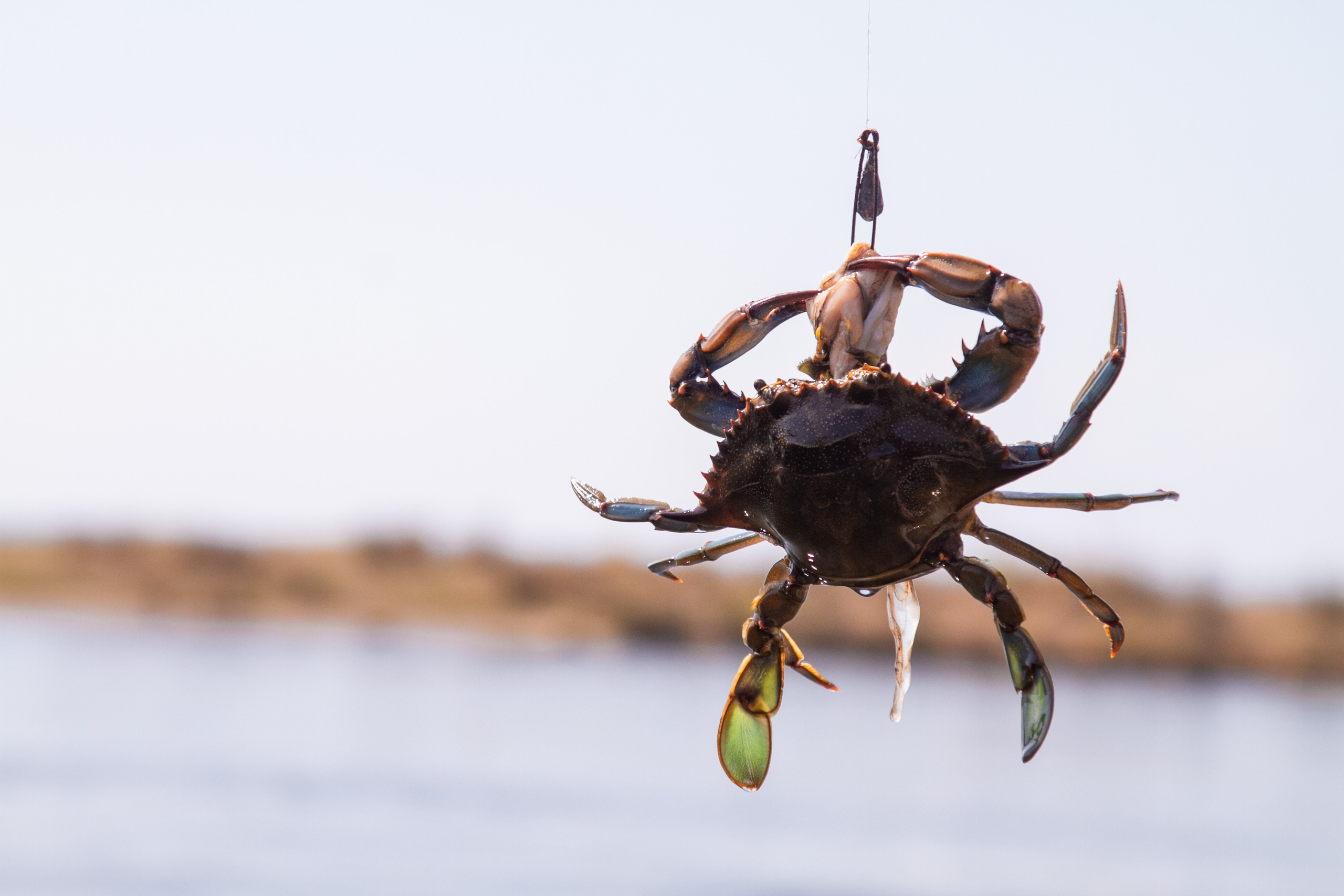 Корпоративные мероприятия. Фотохроника для следующих поколений