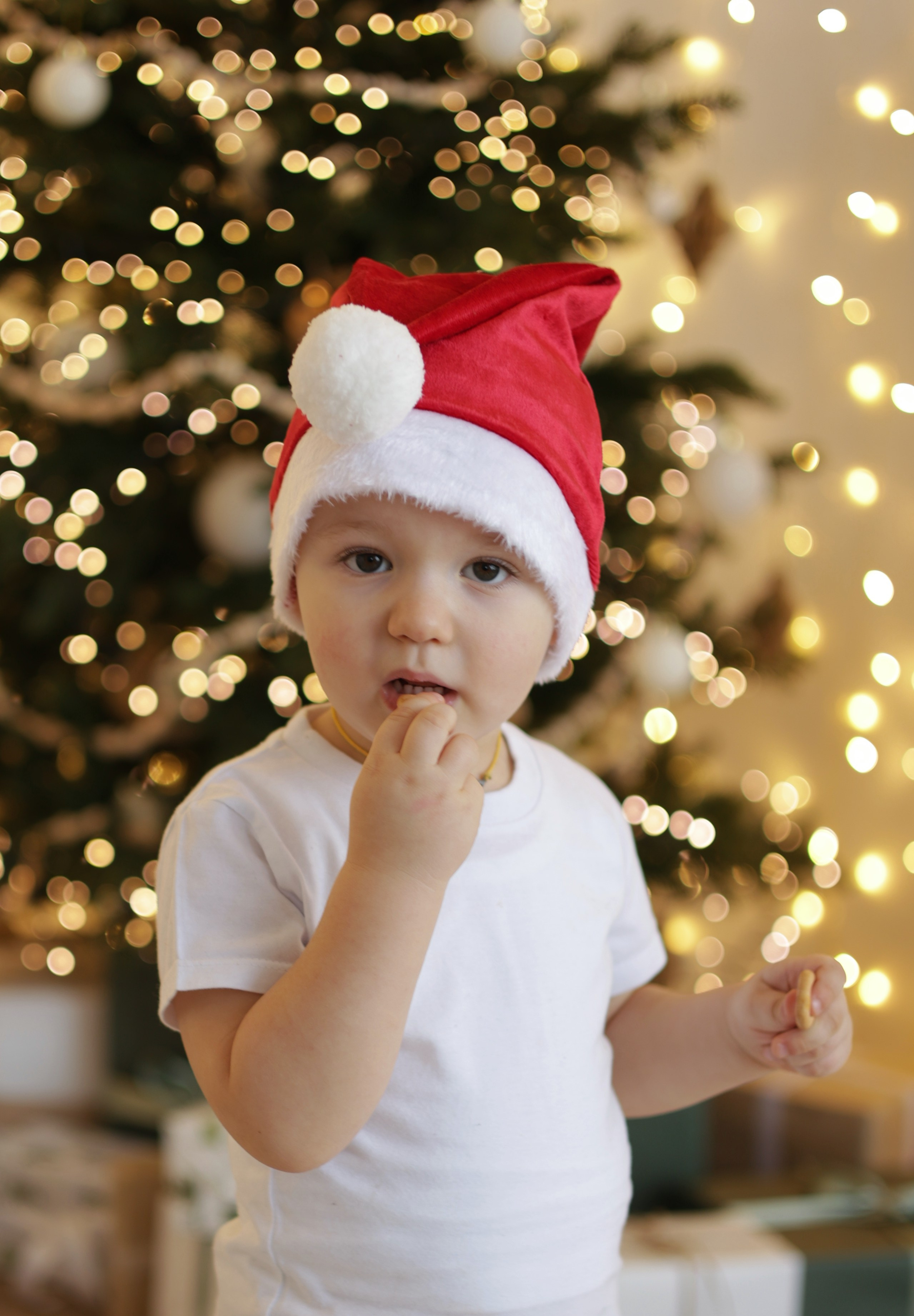 Новый год 25 г Артема. Сайт фотографа Ирины Аникановой