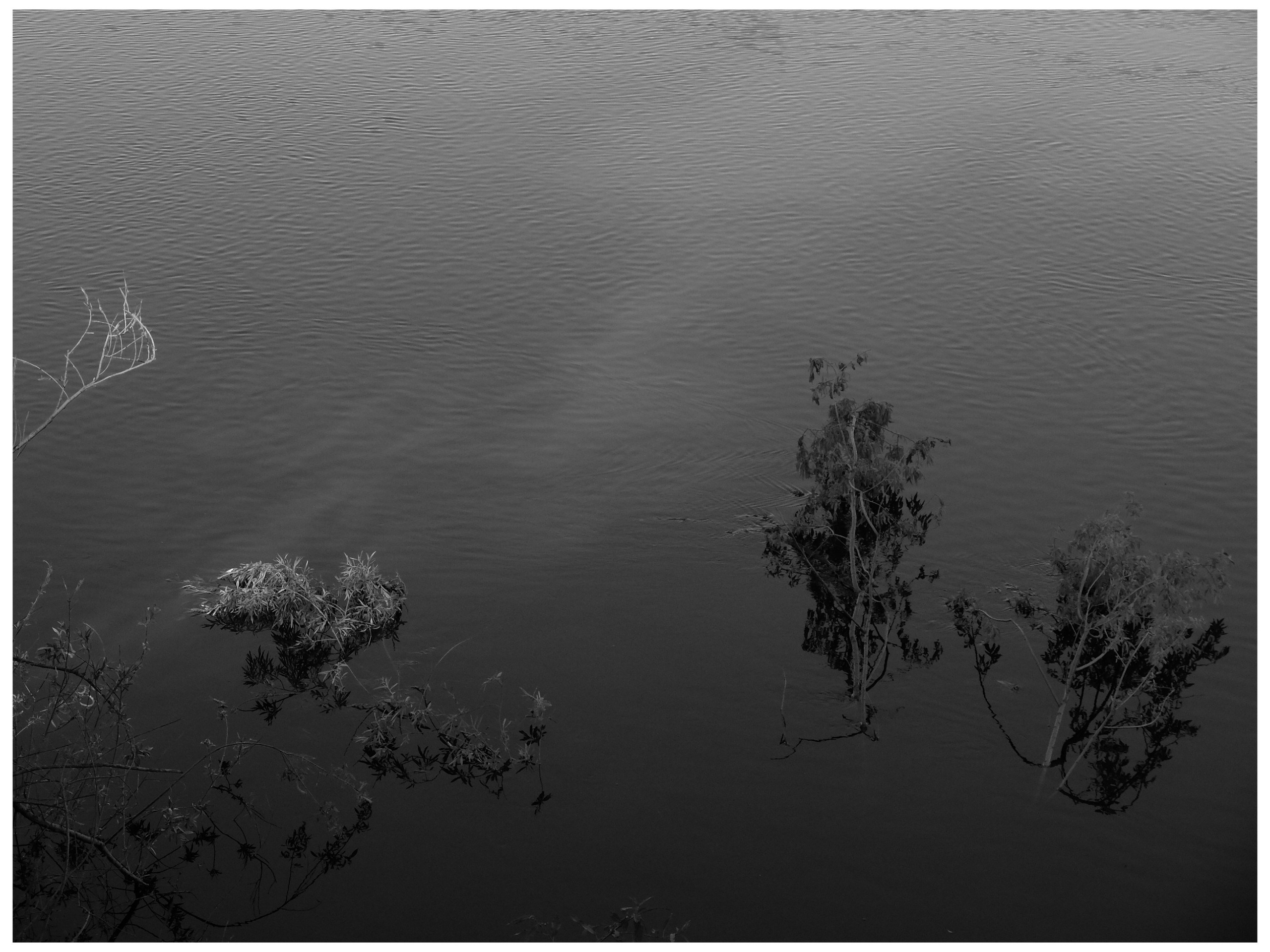 Промежуточные моменты (2022)