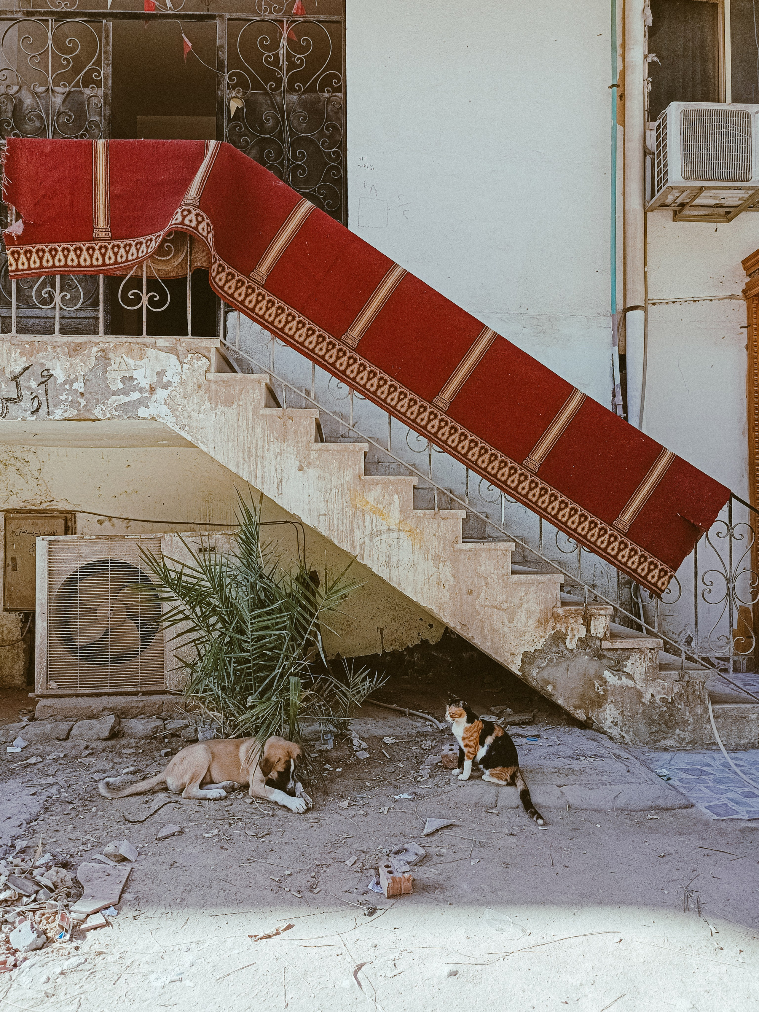 Мобильная. Jorgis — фотограф в Хургаде / обучение фотографии