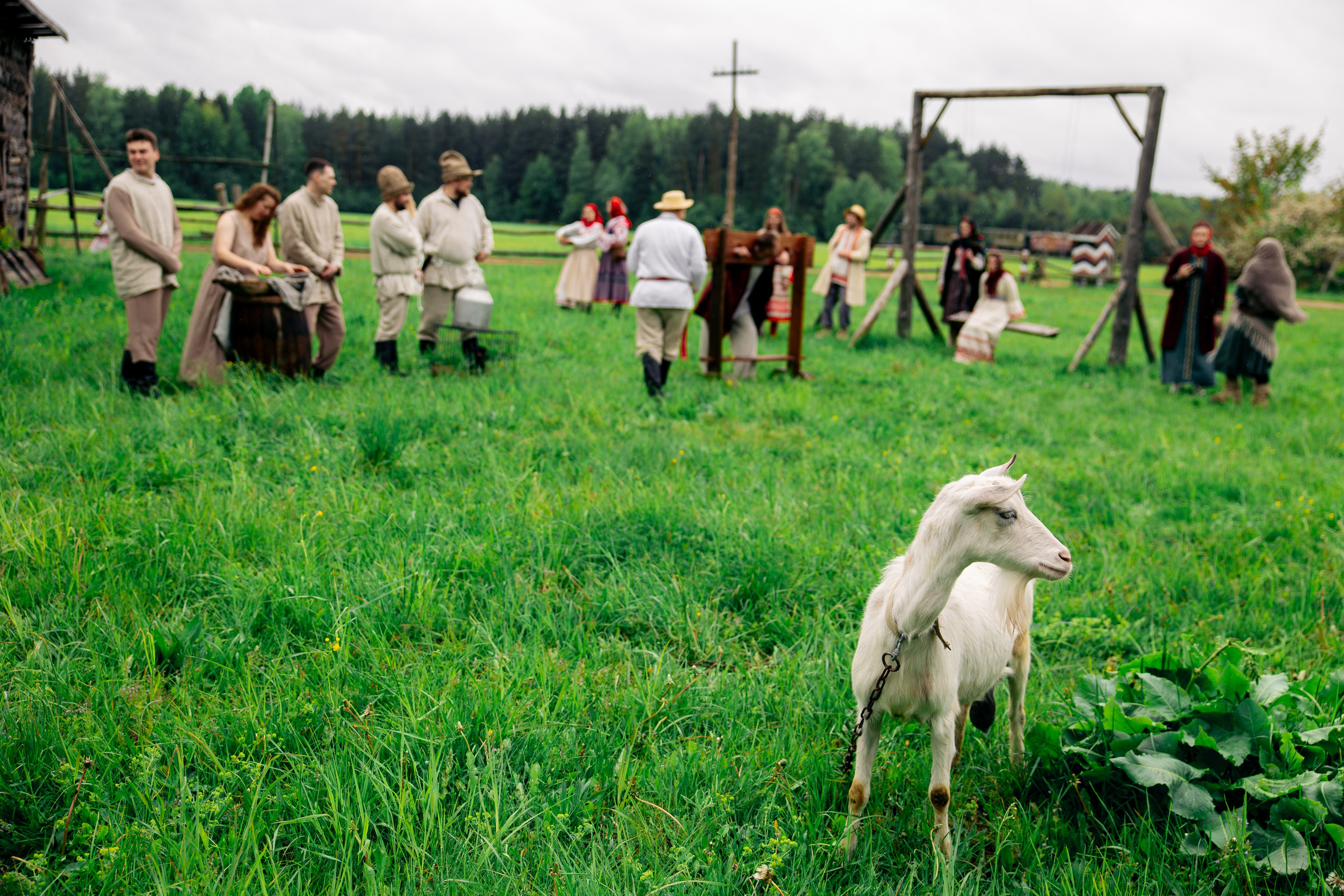 ХОЛОП -тематический праздник. Свадебный фотограф Минск РБ