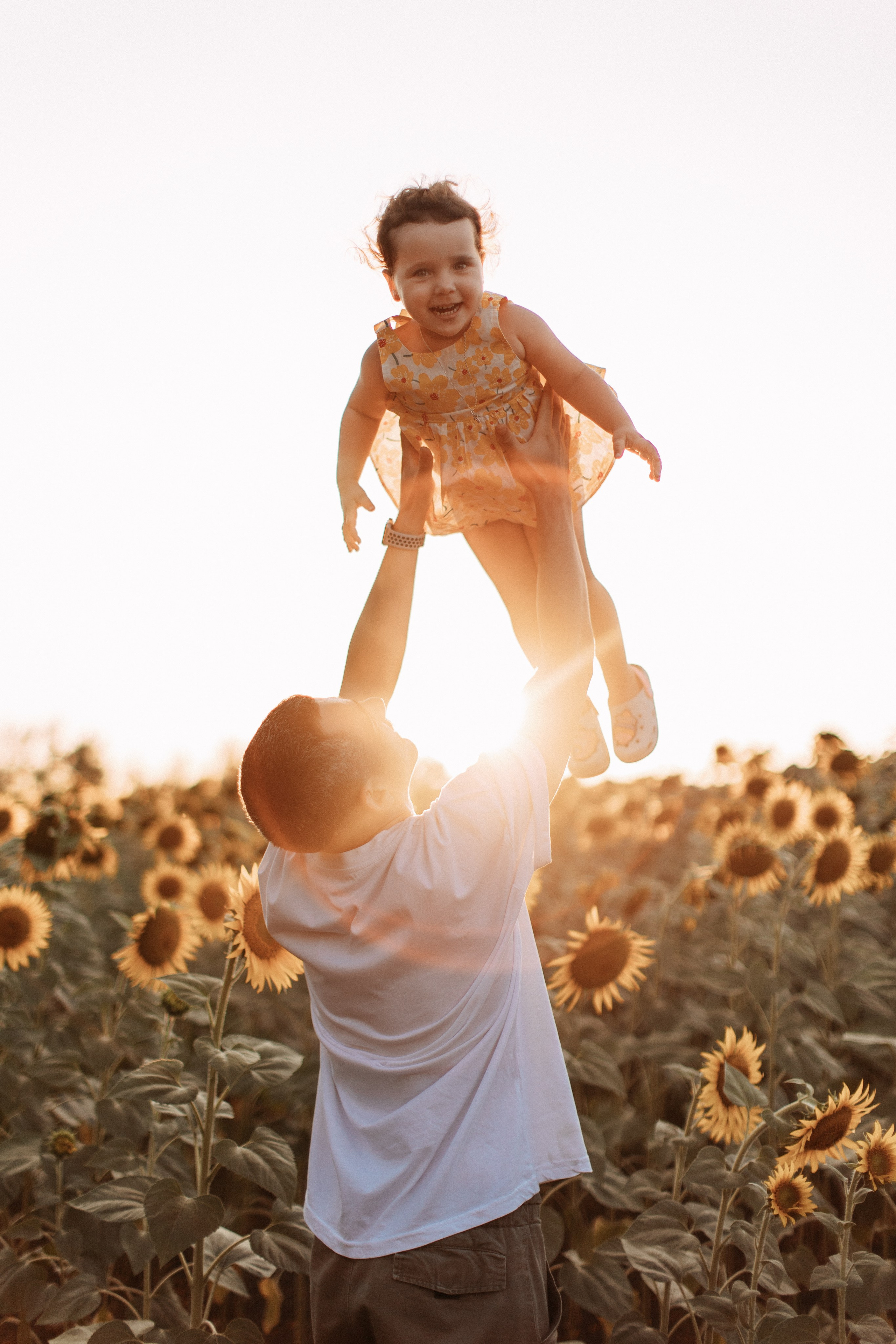 Море подсолнухов. Фотограф Катя Дубовик