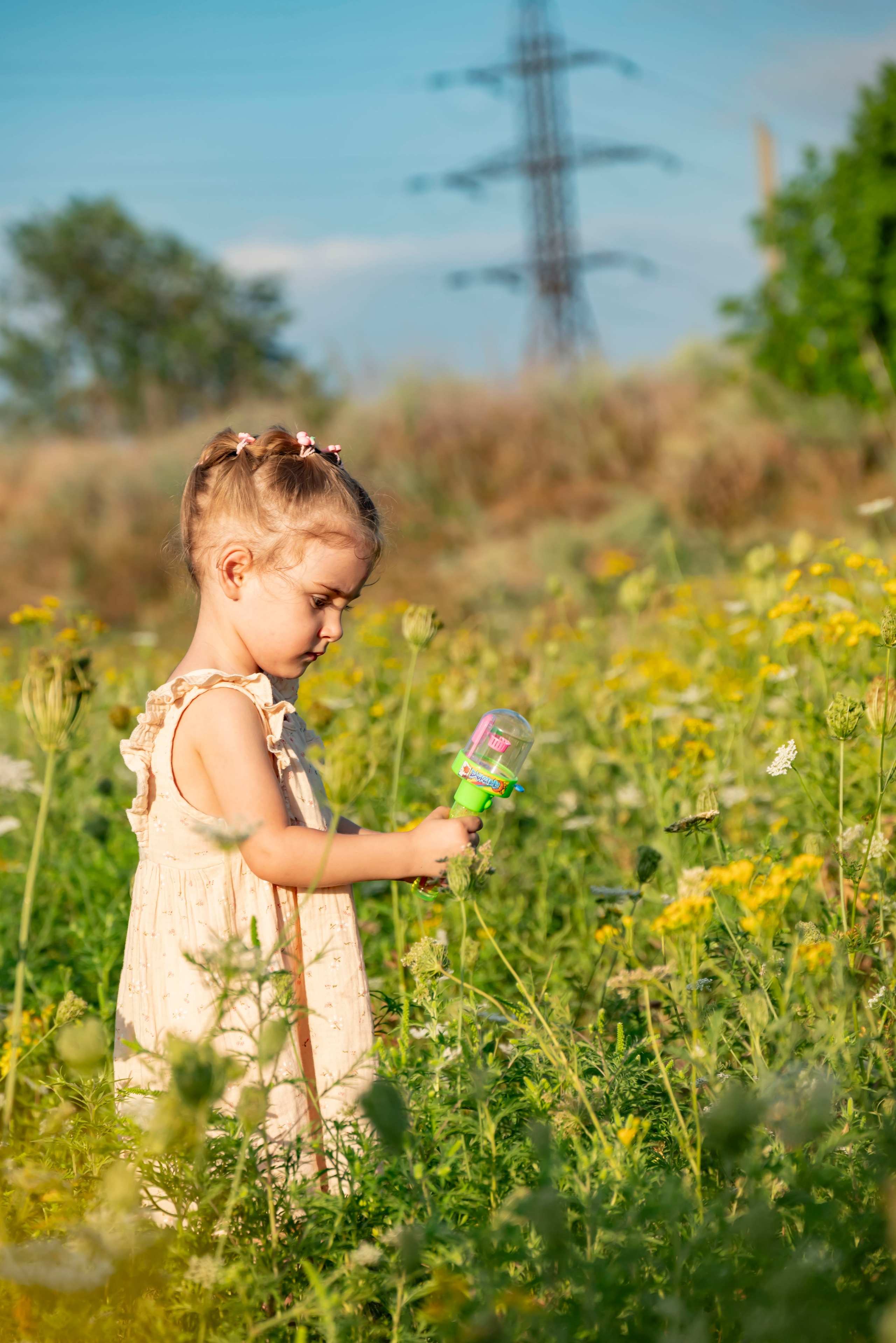 Летняя прогулка. Главная