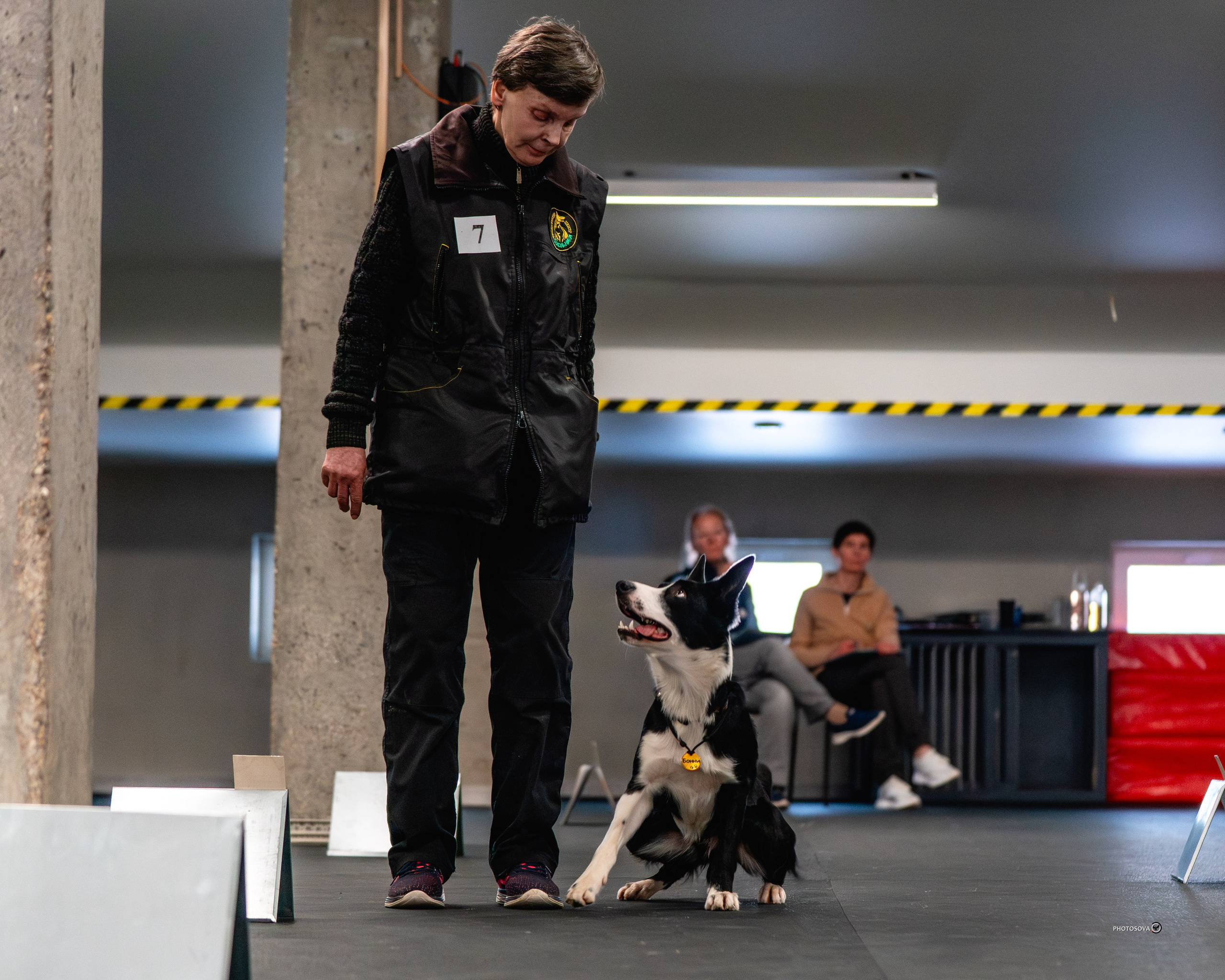 ТЫ И Я (соревнования по ралли-обидиенс). Фотограф-анималист, семейный фотограф в Москве и Подмосковье. Фотосъёмка кинологических дисциплин