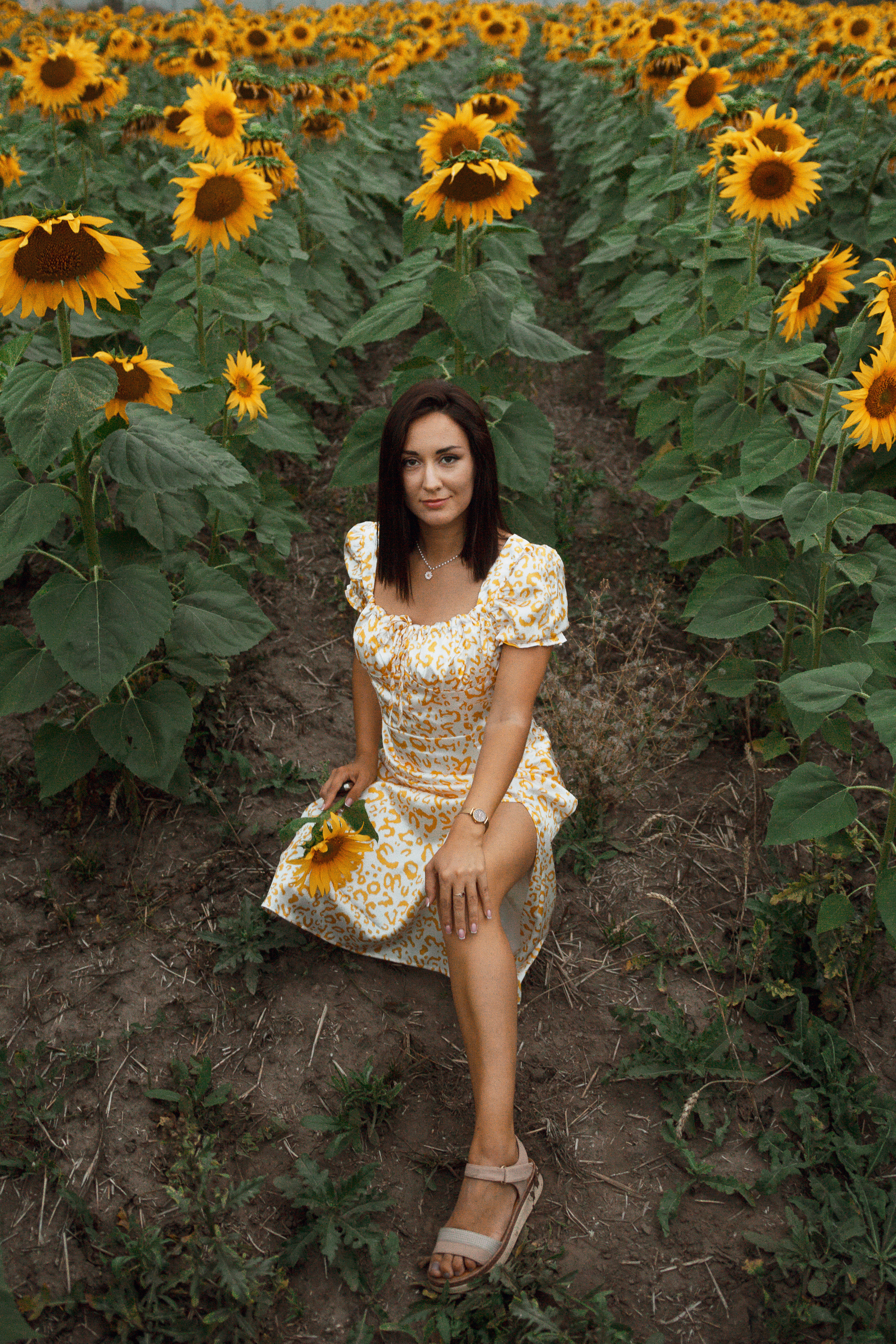 Фотосессия девушка в поле подсолнухов. Портретный фотограф в Москве Ольга Акушко