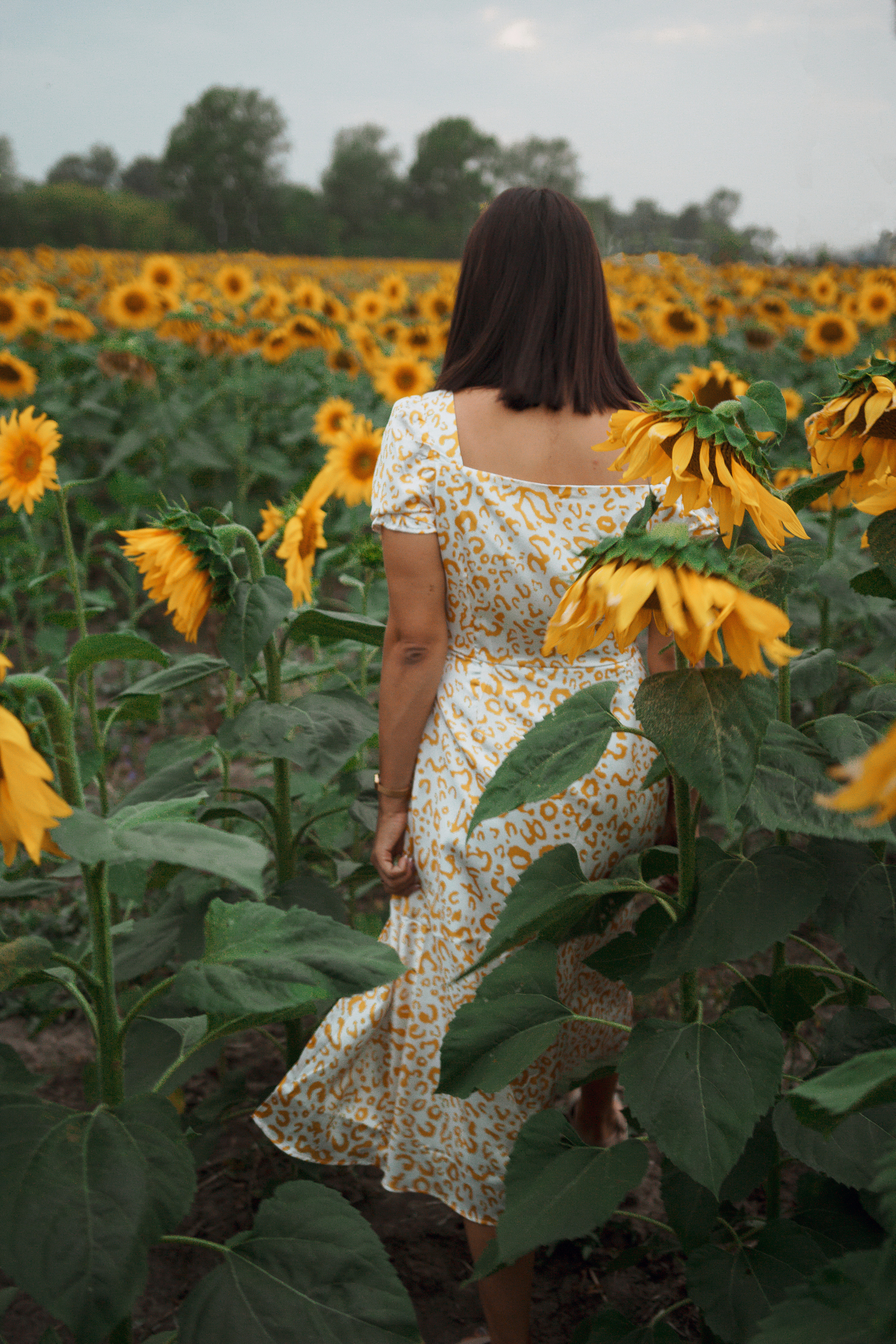 Фотосессия девушка в поле подсолнухов. Портретный фотограф в Москве Ольга Акушко