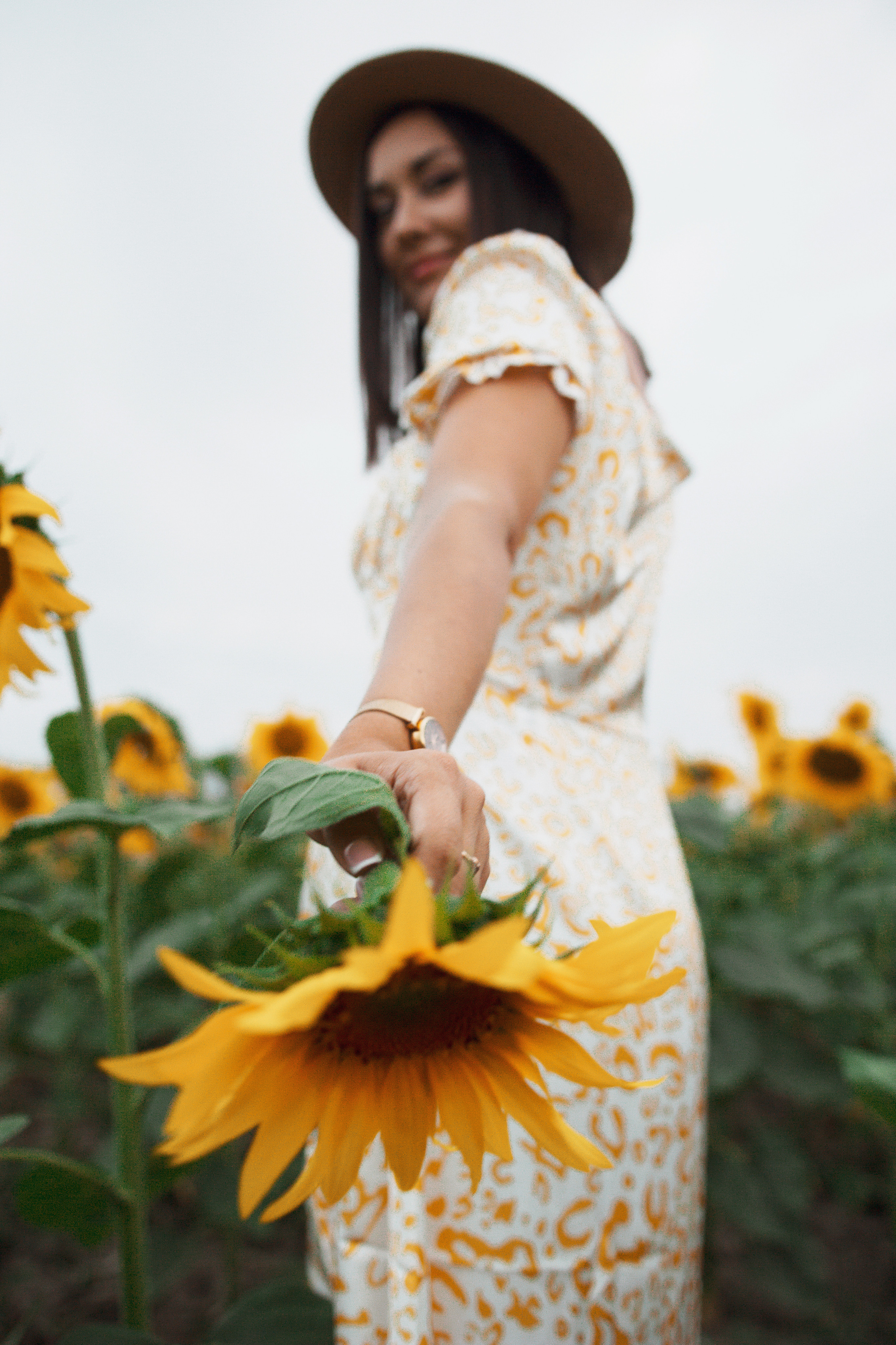 Фотосессия девушка в поле подсолнухов. Портретный фотограф в Москве Ольга Акушко