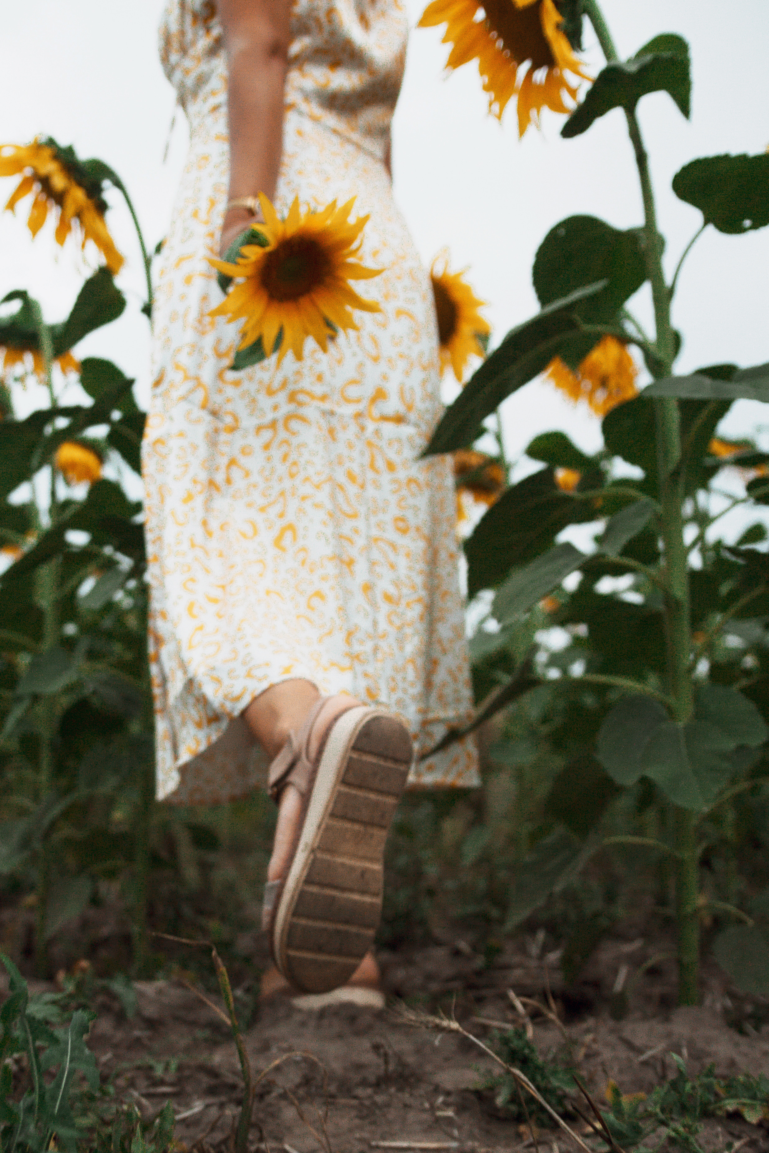 Фотосессия девушка в поле подсолнухов. Портретный фотограф в Москве Ольга Акушко