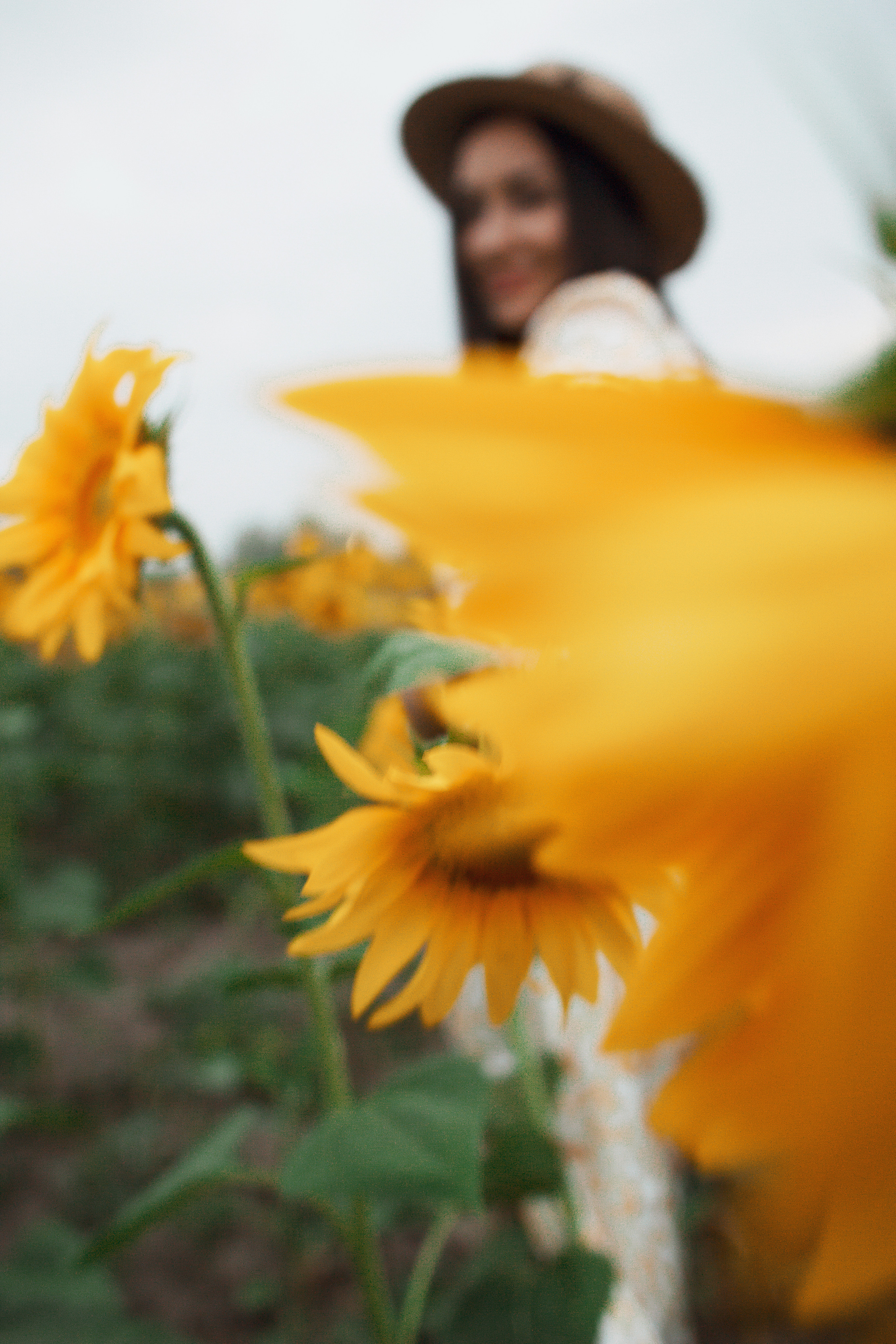 Фотосессия девушка в поле подсолнухов. Портретный фотограф в Москве Ольга Акушко