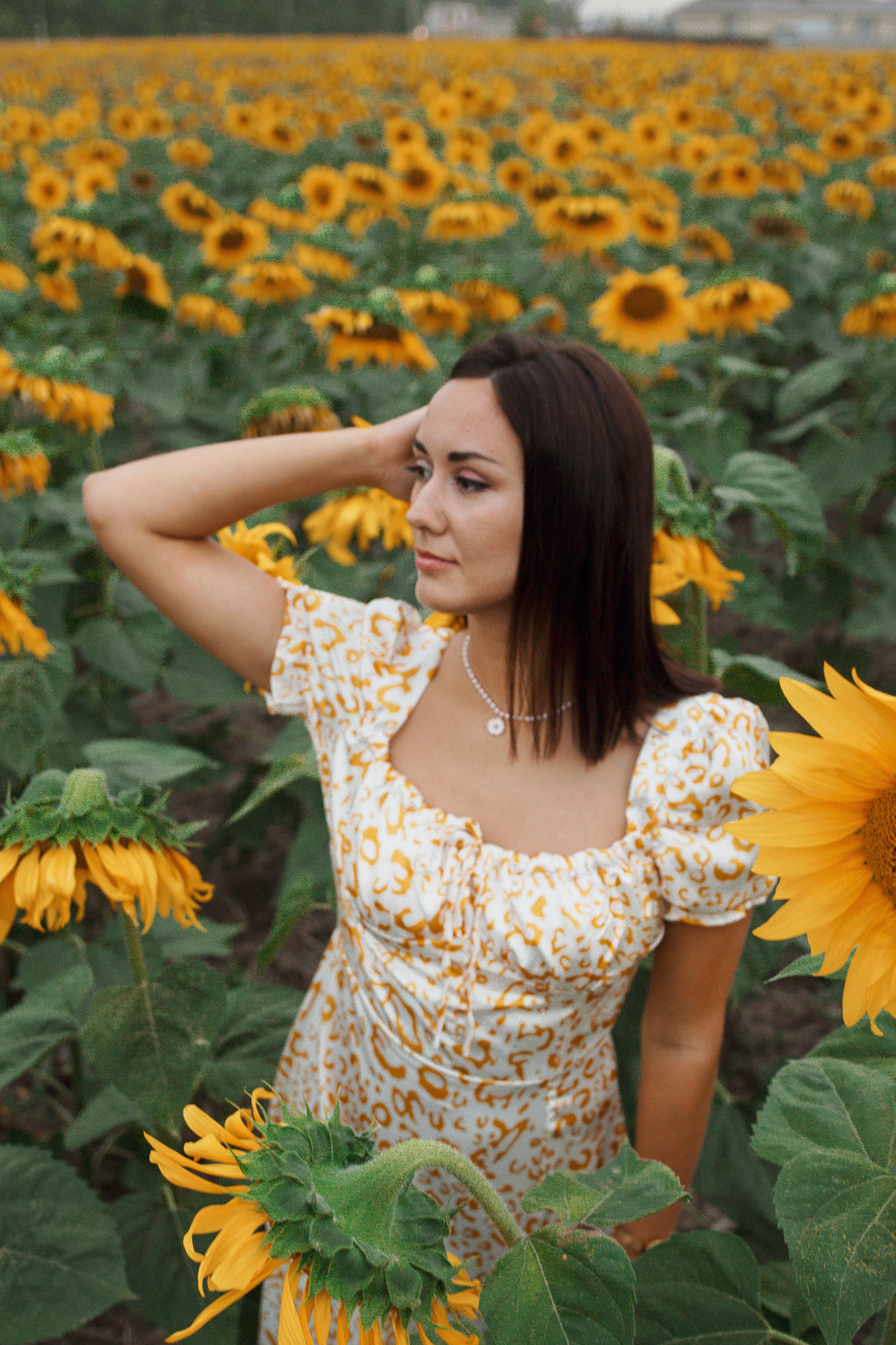 Фотосессия девушка в поле подсолнухов. Портретный фотограф в Москве Ольга Акушко