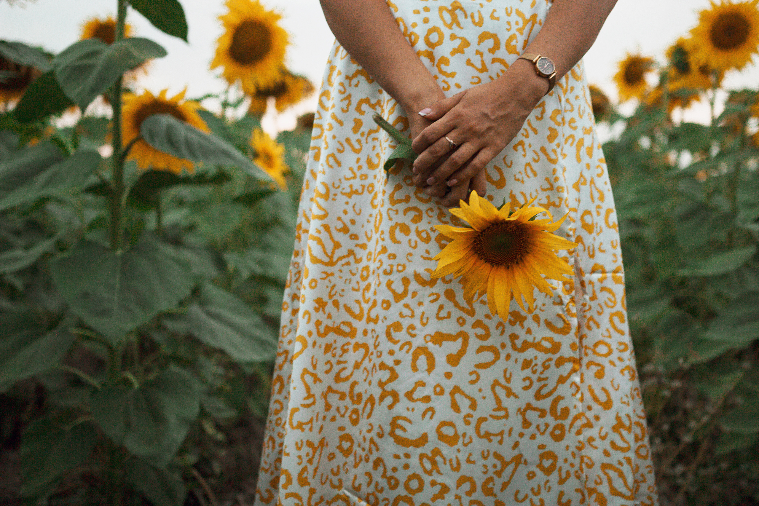 Фотосессия девушка в поле подсолнухов. Портретный фотограф в Москве Ольга Акушко