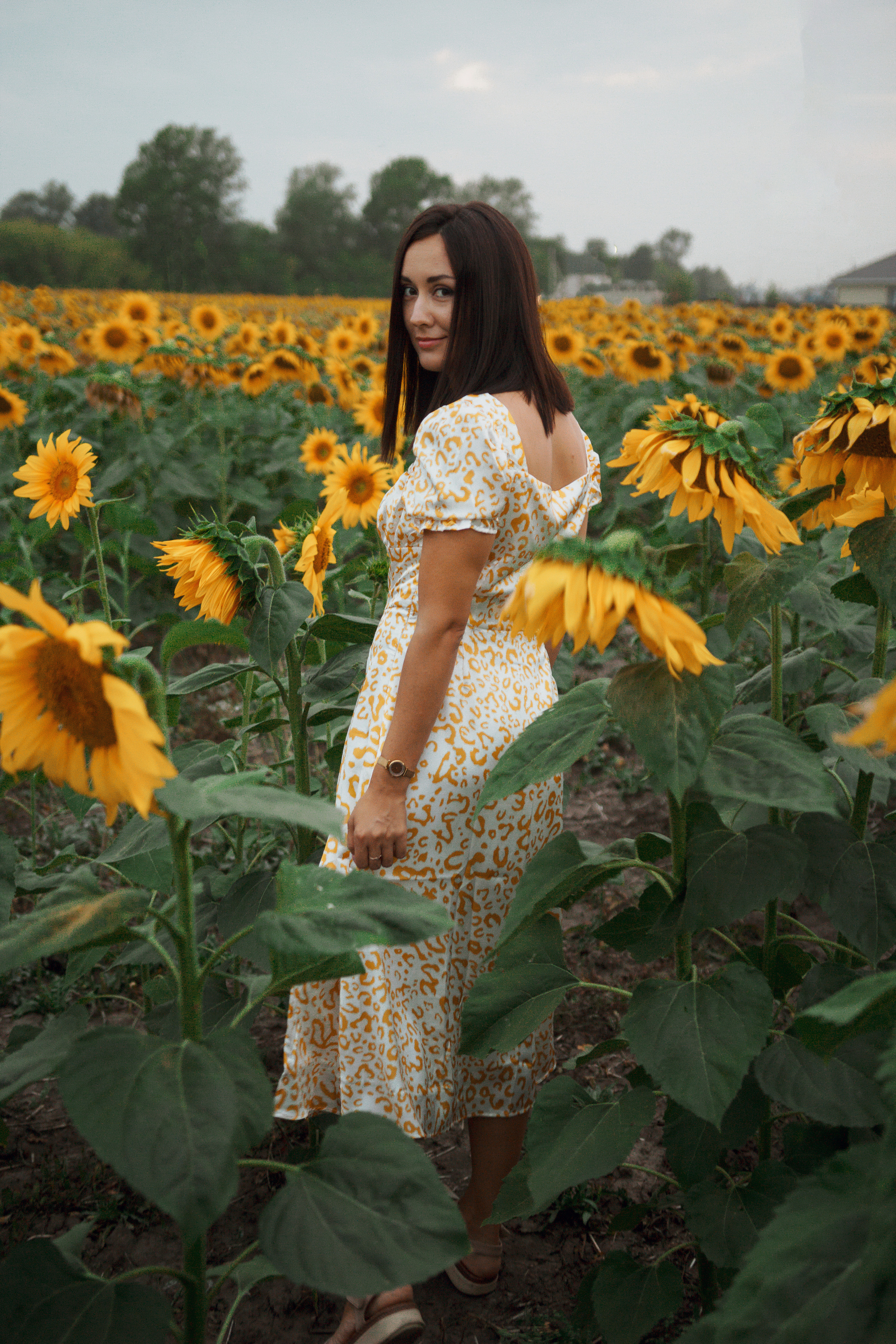 Фотосессия девушка в поле подсолнухов. Портретный фотограф в Москве Ольга Акушко