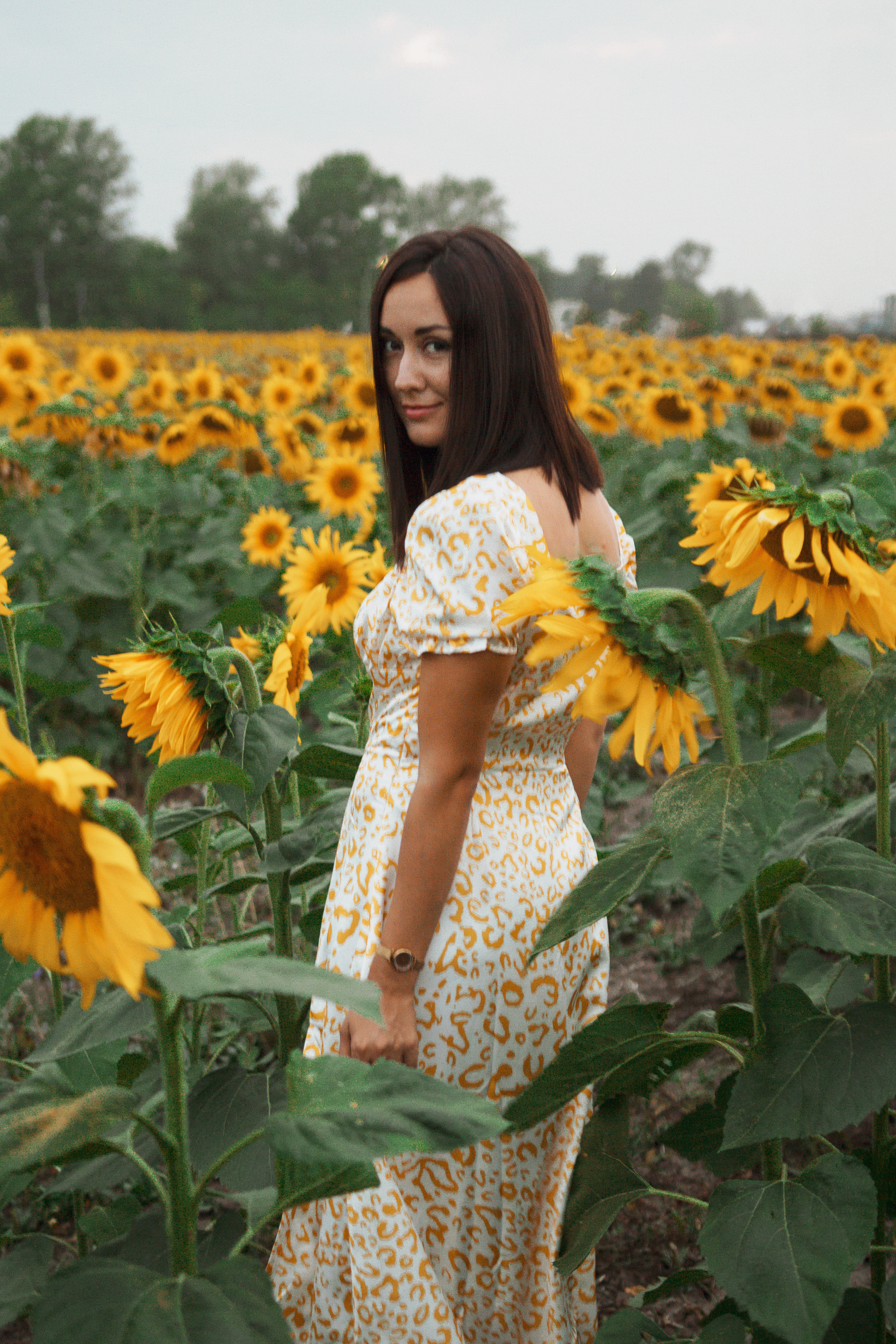 Фотосессия девушка в поле подсолнухов. Портретный фотограф в Москве Ольга Акушко