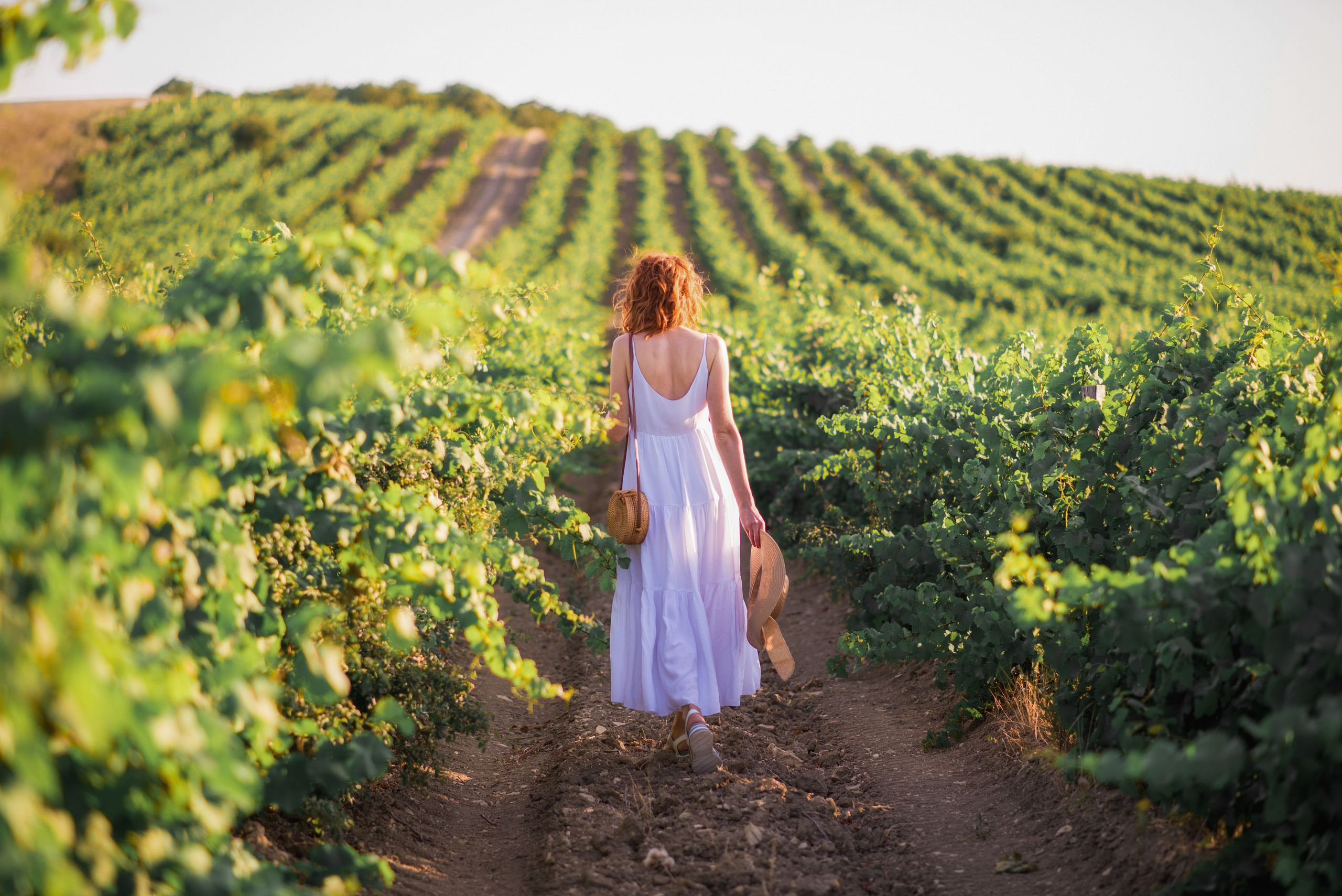 Виноградники. Семейный и детский фотограф Анапа