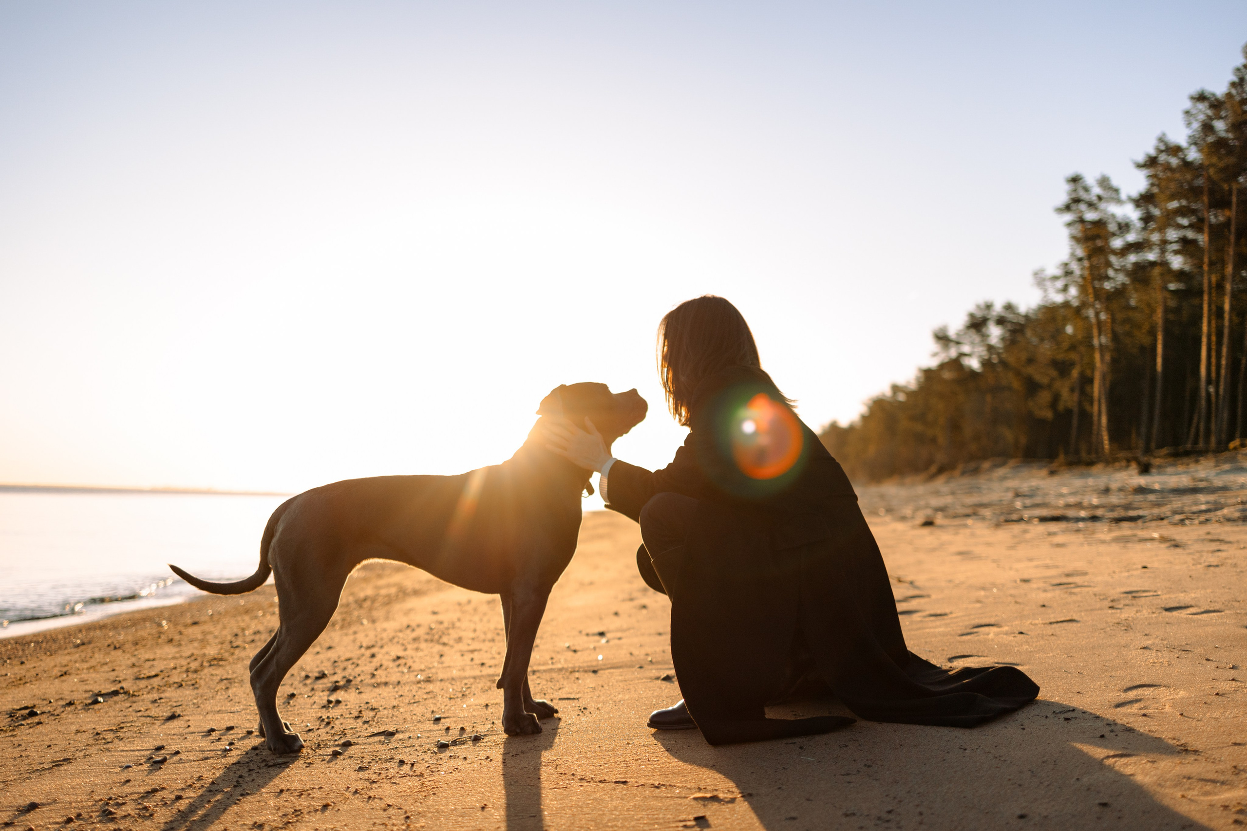 Анна и Лана. Фотограф — Анималист | Санкт-Петербург