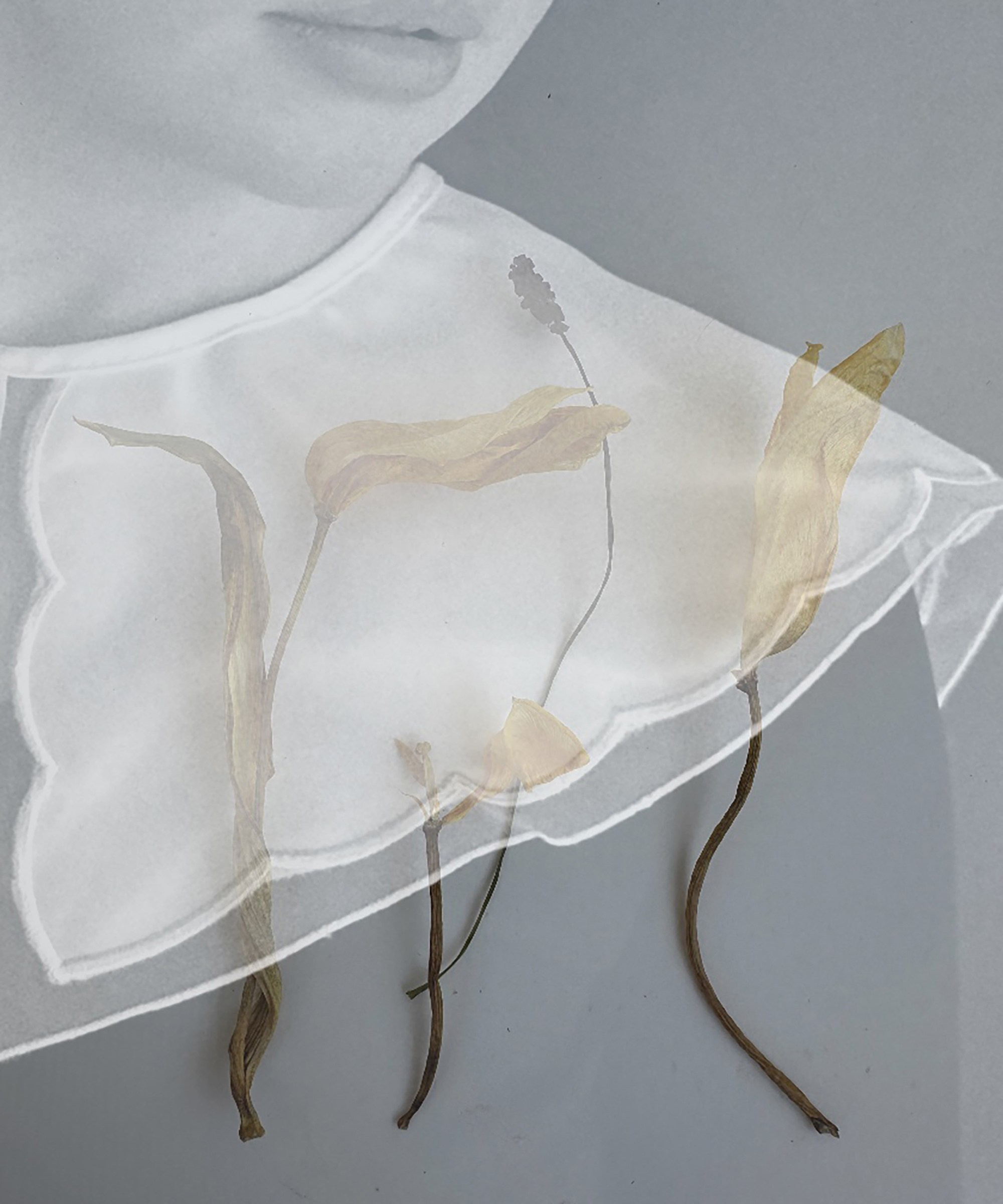 Portfolio. Visual Artist Olga Kuterina