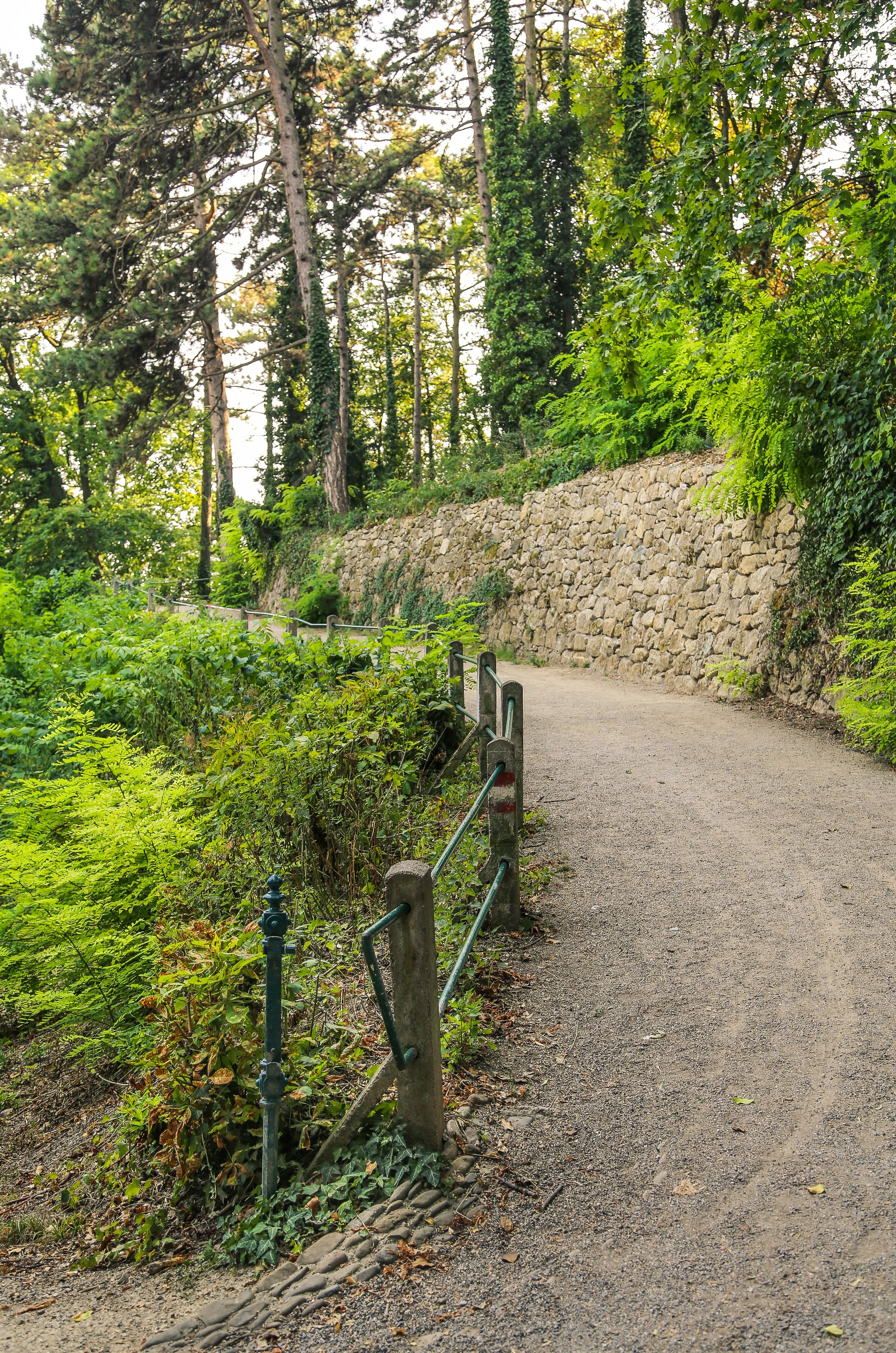 Австрия: Баден. Дарья Письменюк / Darya Leitstern — фотограф, музыкант, журналист, путешественник
