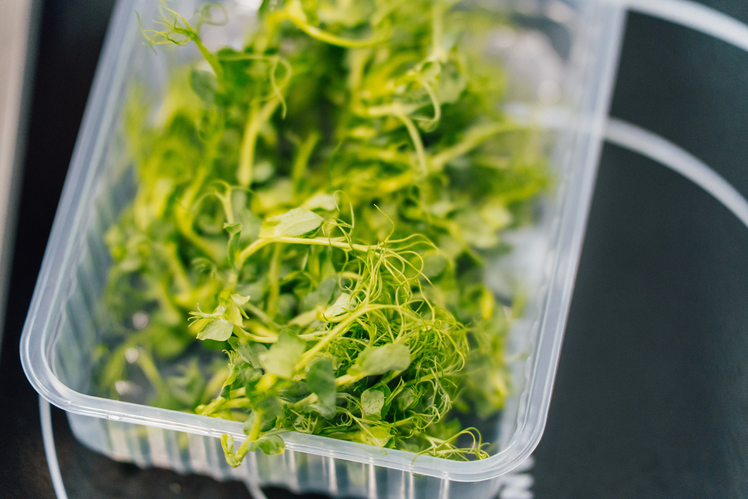 Еда, маркетплейсы, предметные и контент снимки. Репортажный фотограф в Калининграде Морозов Кирилл