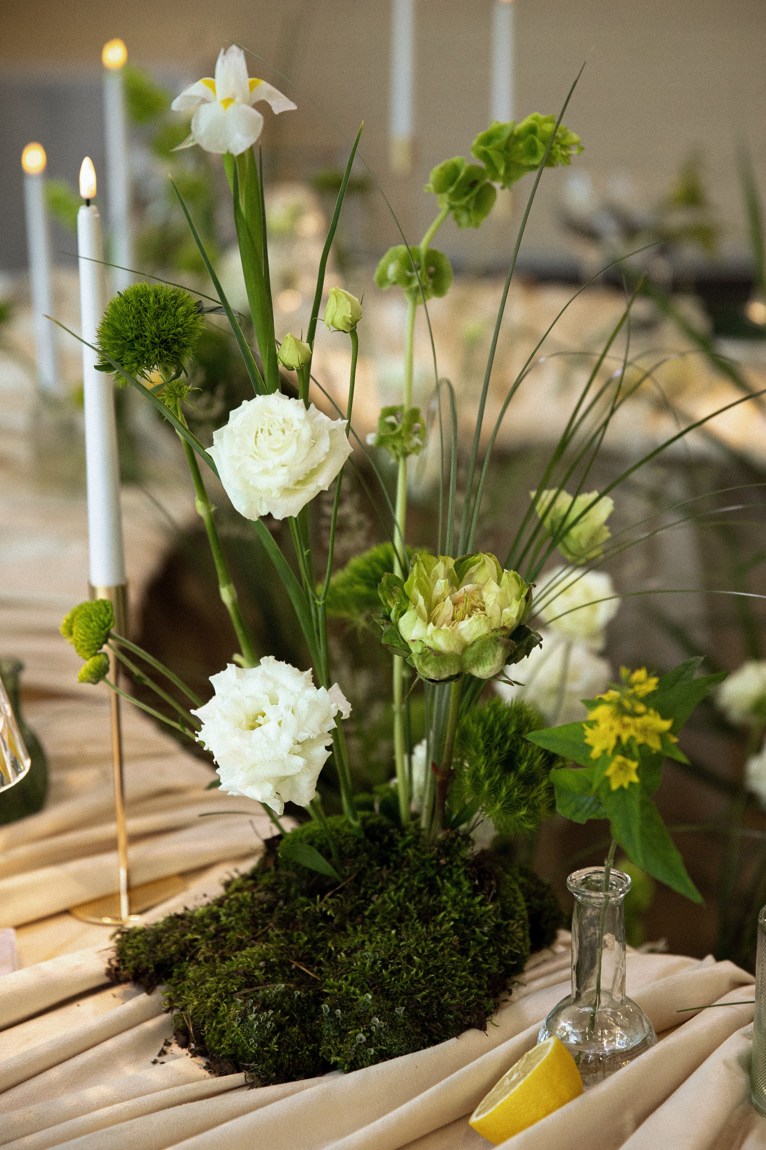 Радимир и Виктория