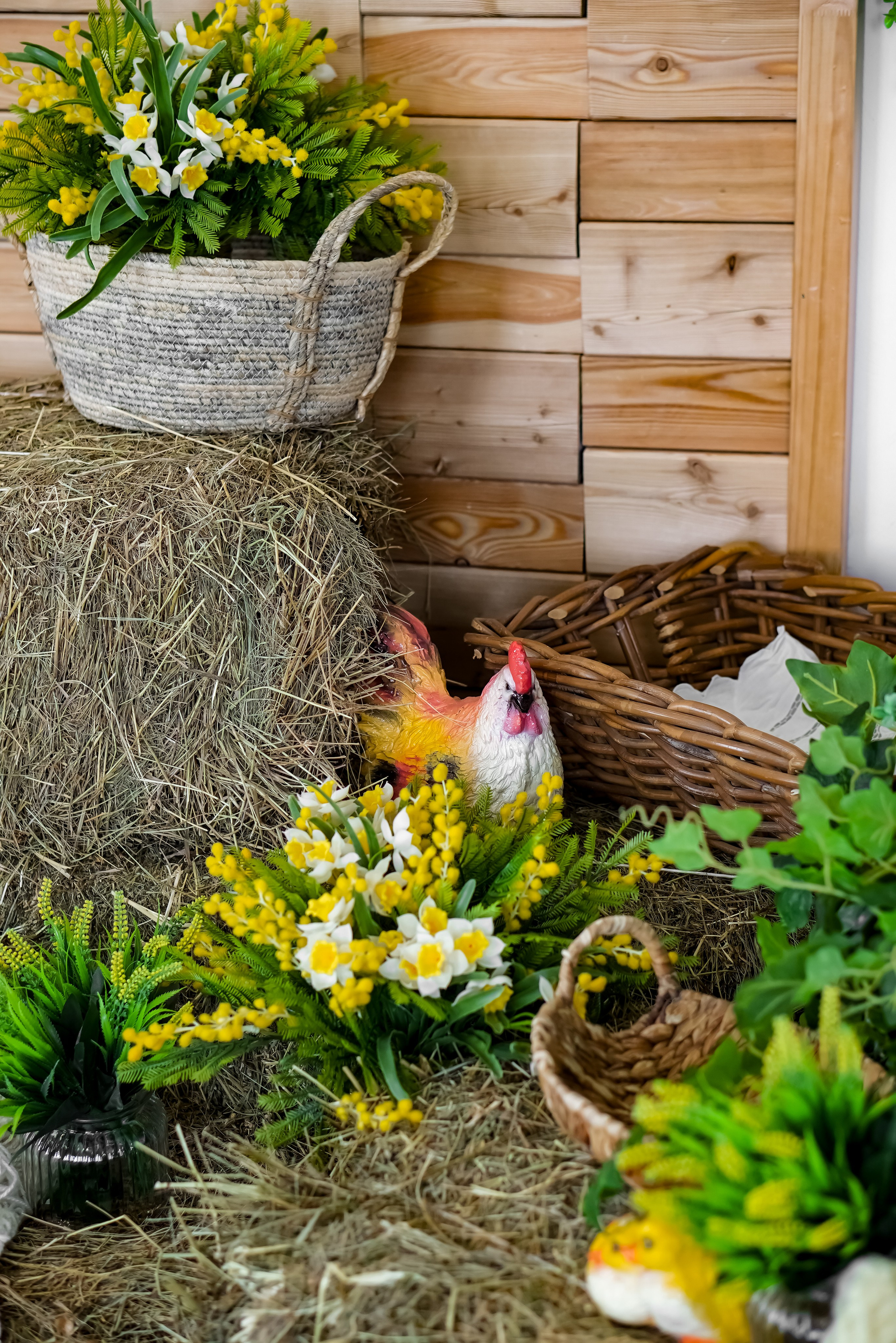 Зал Life фотостудия Импульс. Фотостудия в Саратове. Фотограф в Саратове