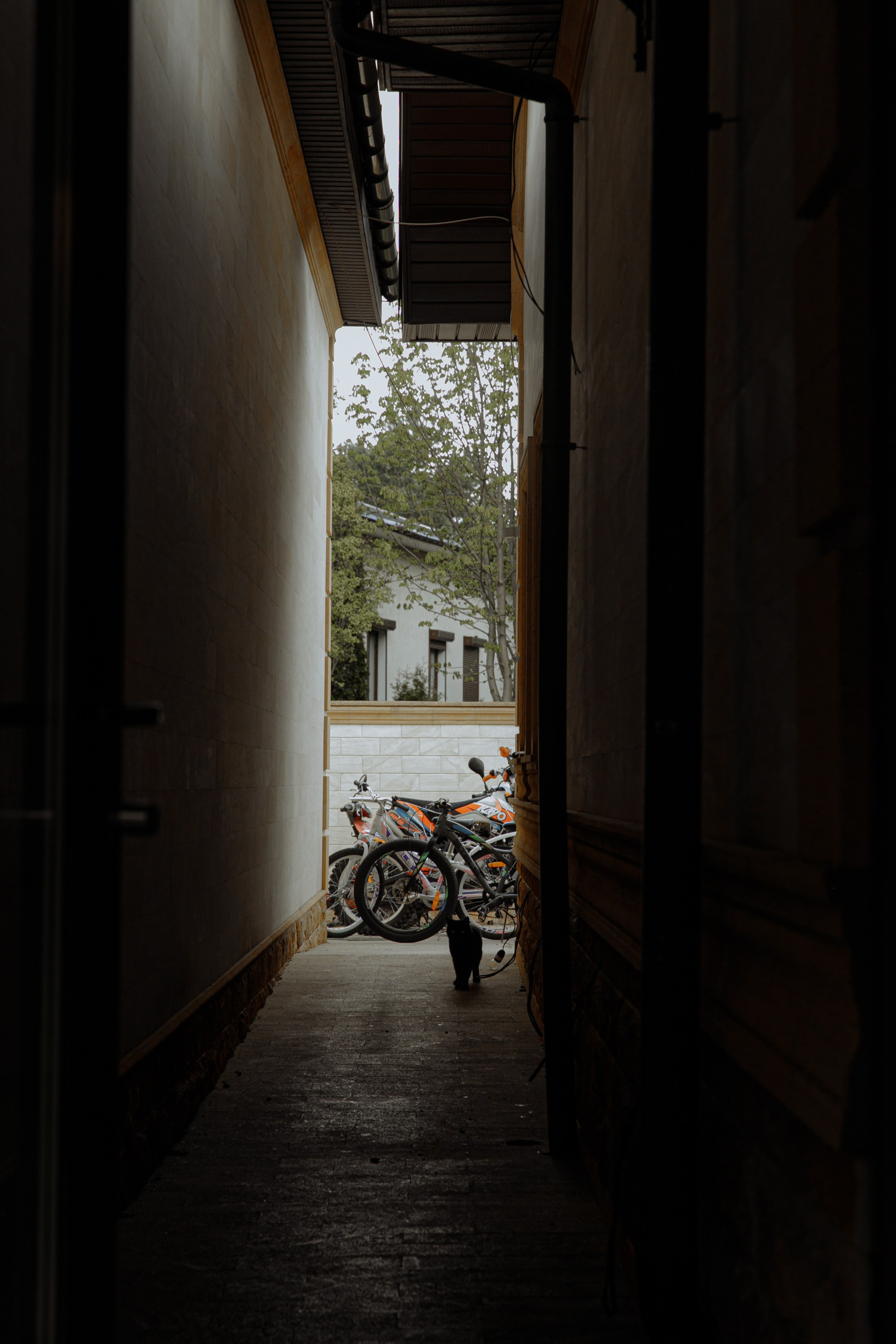 День рождение Миланьи. Главная