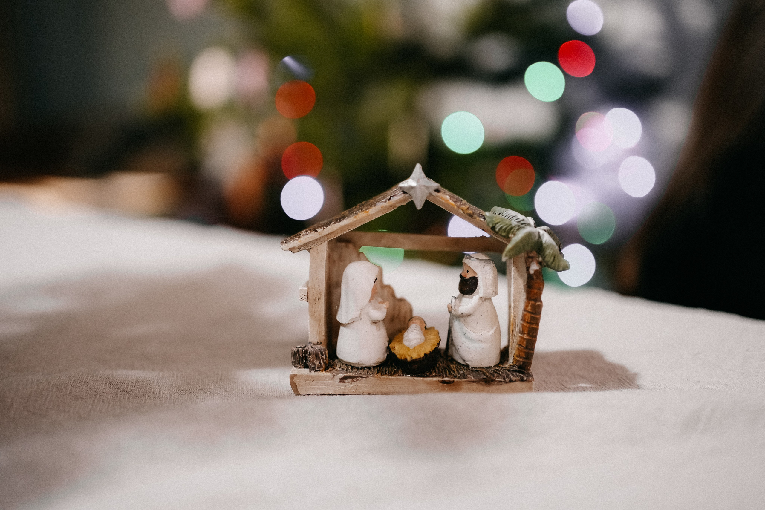 Долгушины. Фотограф Перевозкина Анна