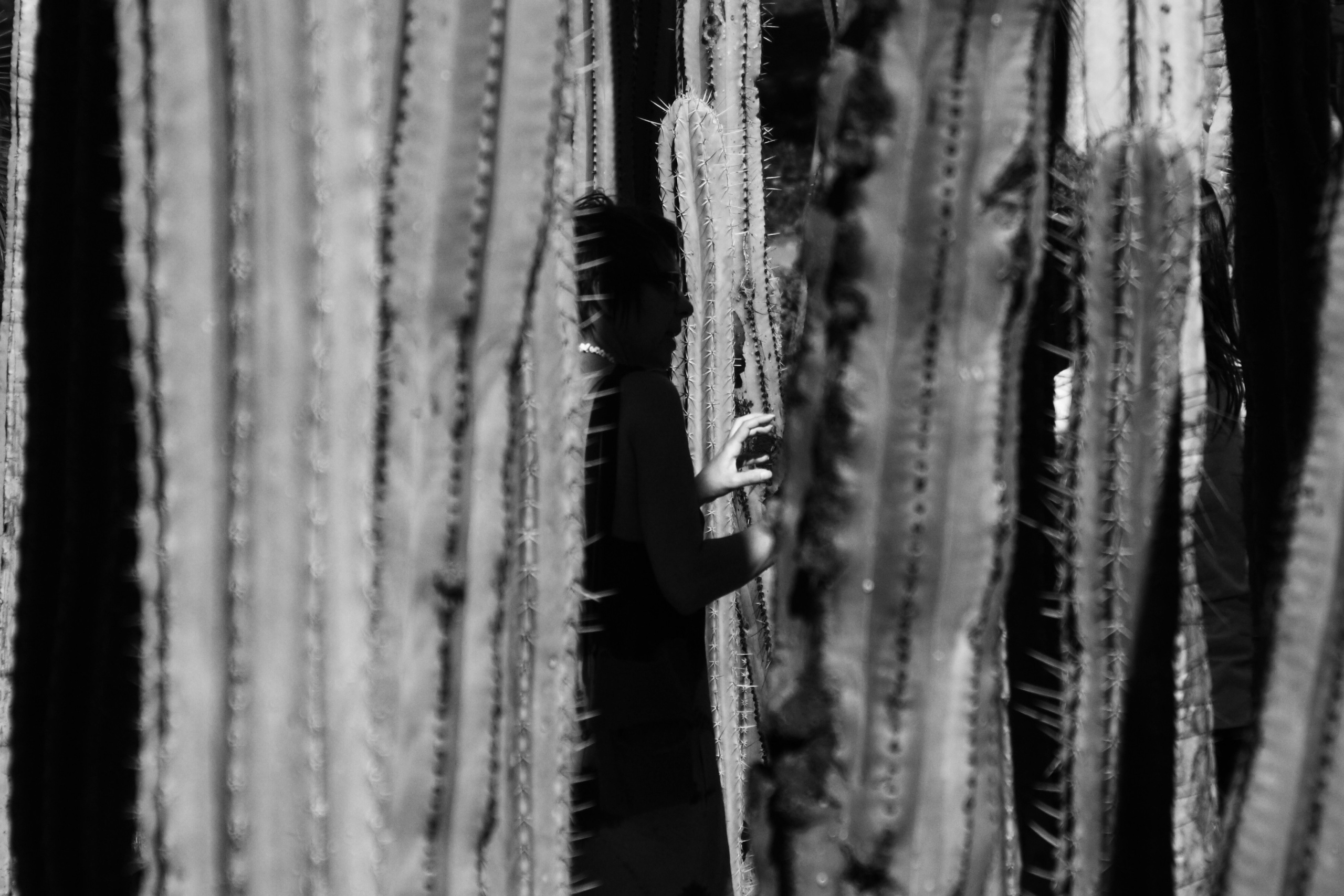 Жанр. Фотограф Лагутин Анатолий