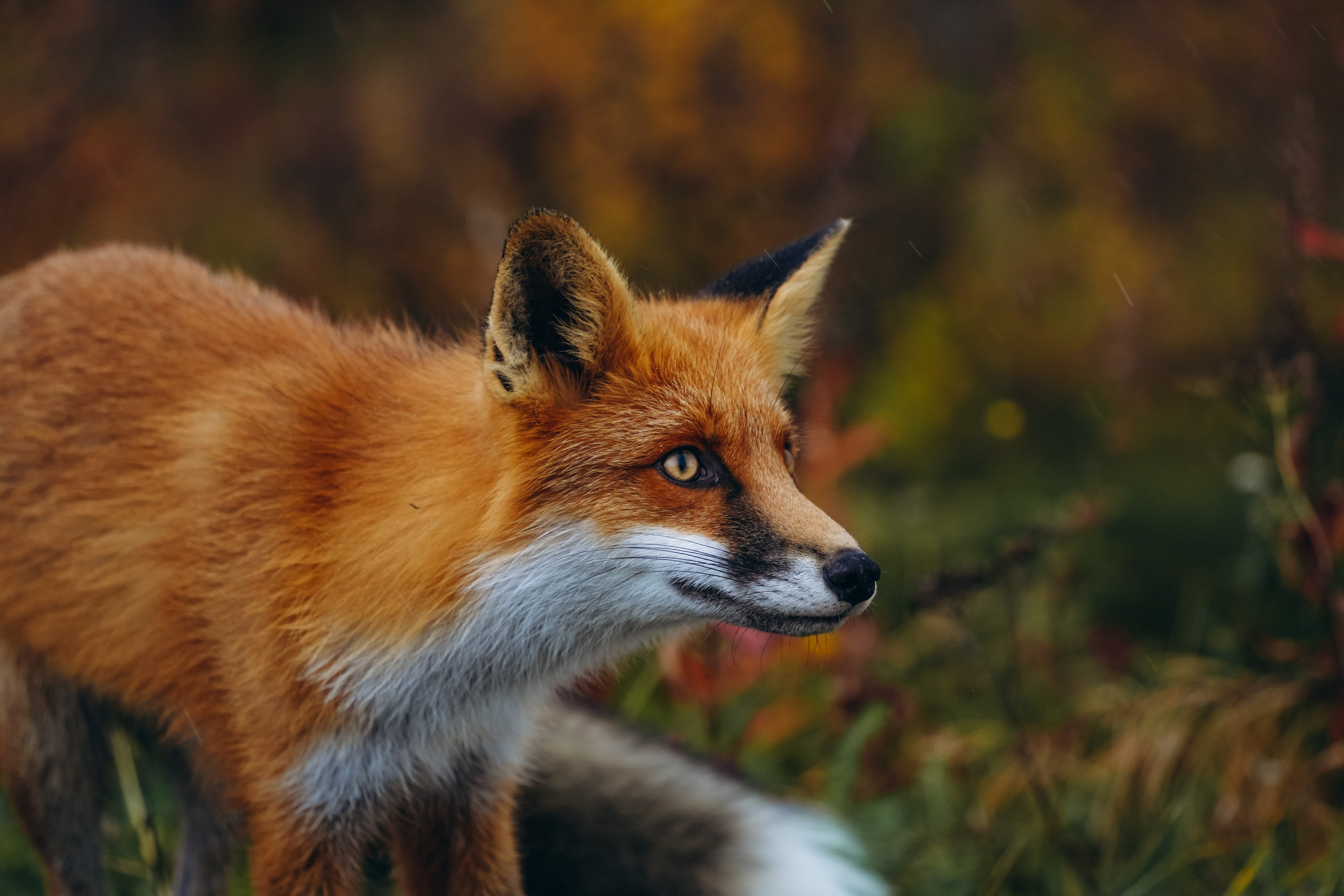 СЕВЕР. Event фотограф Степанова Александра