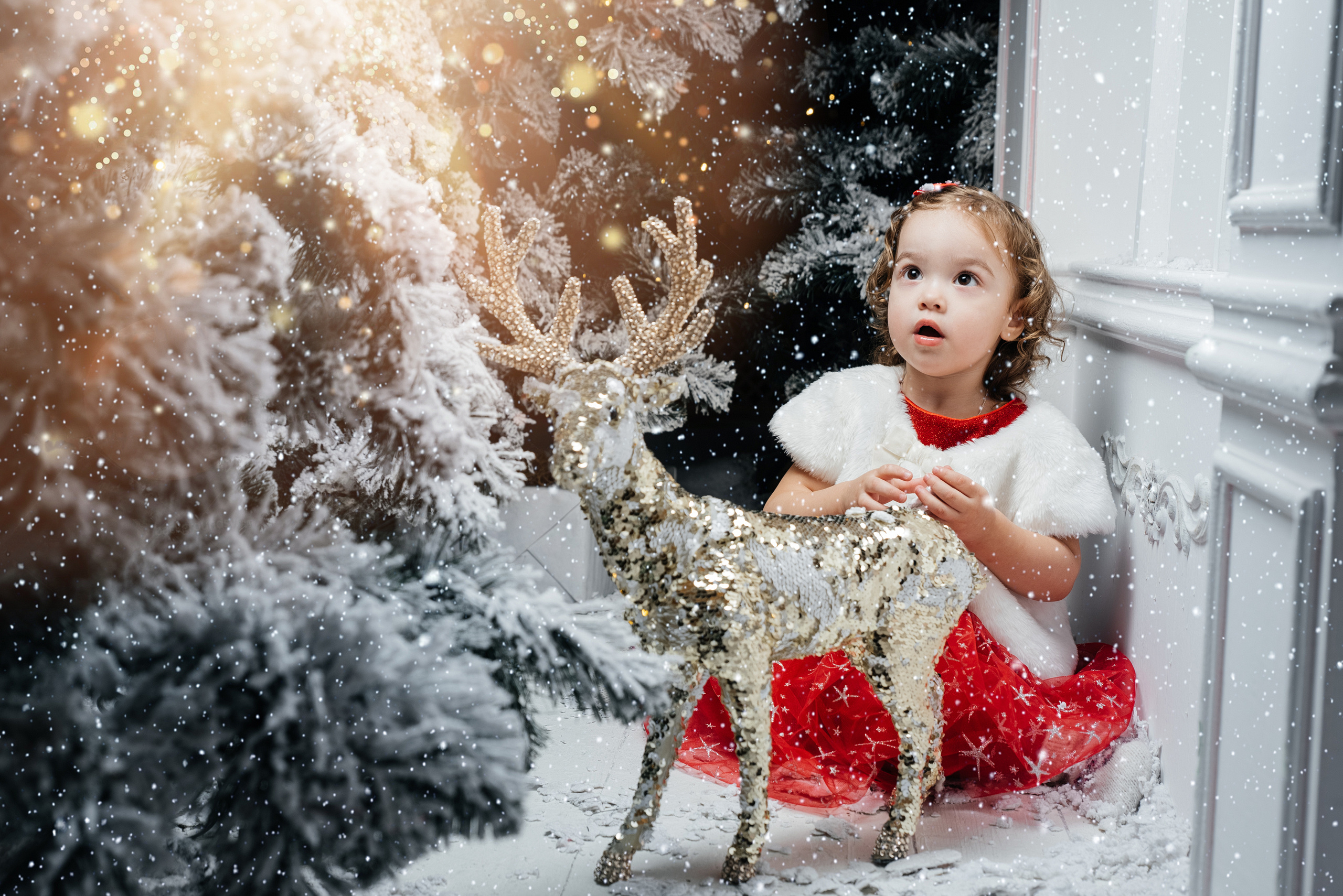 New Year. Wedding photographers Alex Abramyan