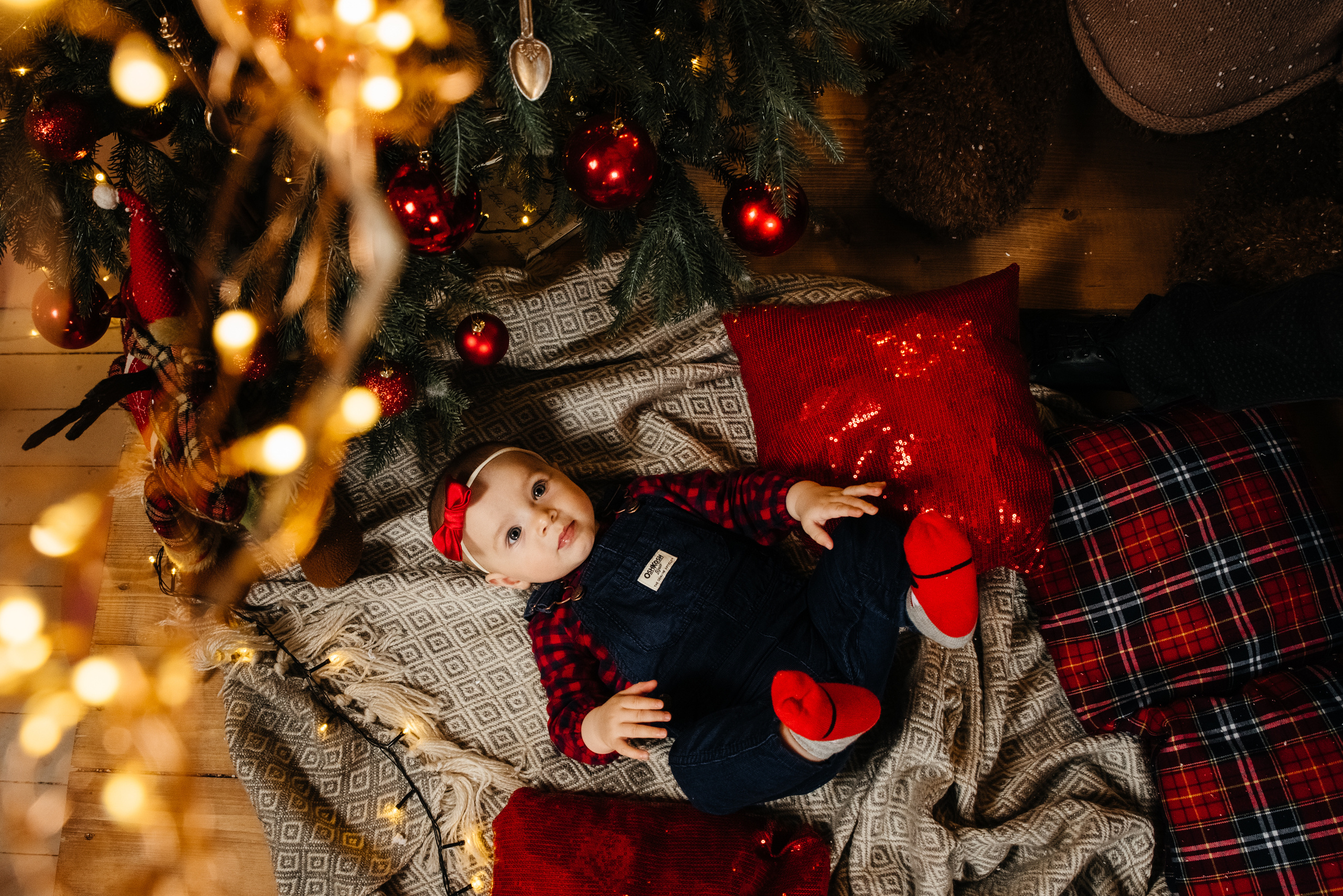 New Year. Wedding photographers Alex Abramyan