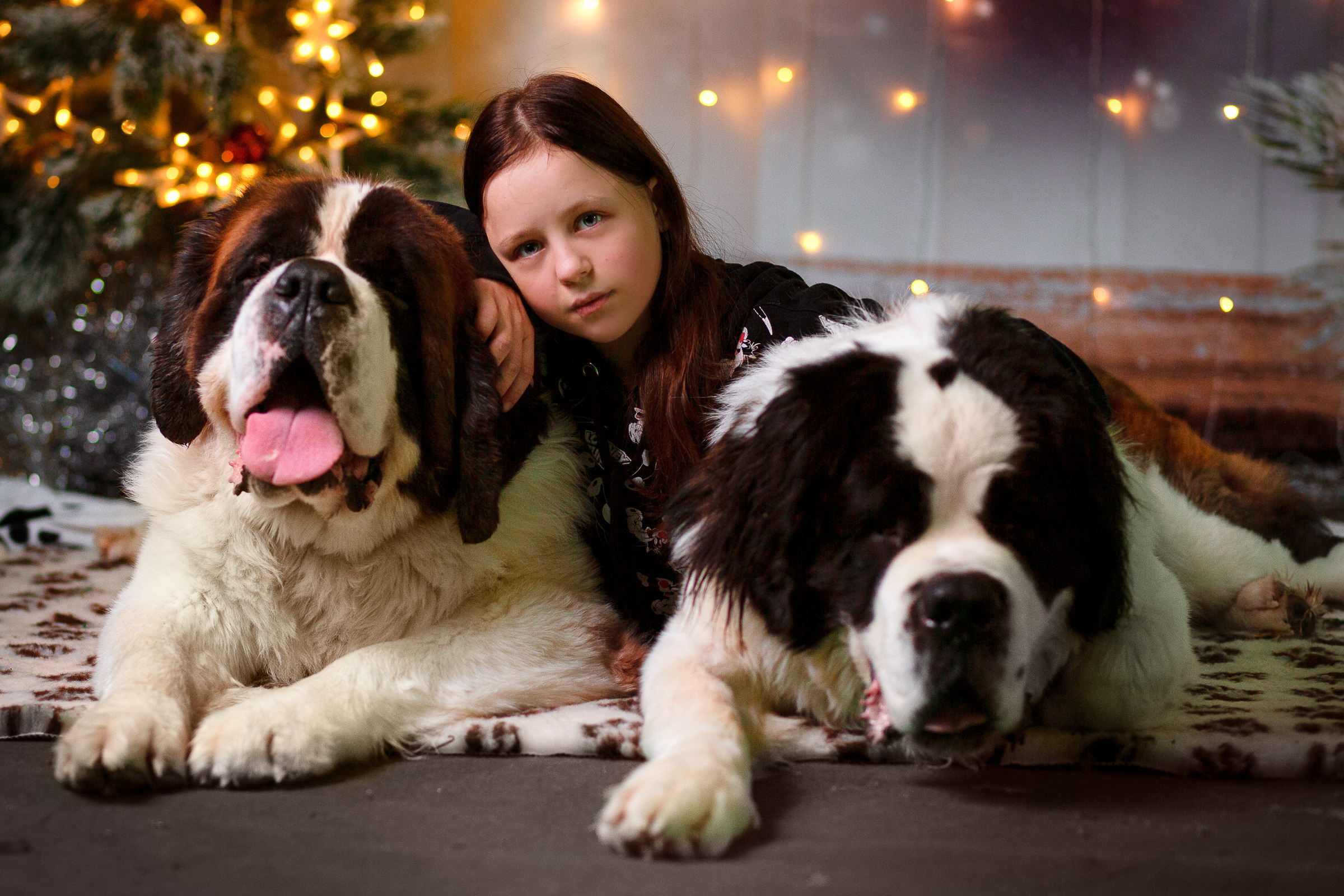 Дети и собаки. Детский и семейный фотограф Алиса Хмелева г. Апатиты