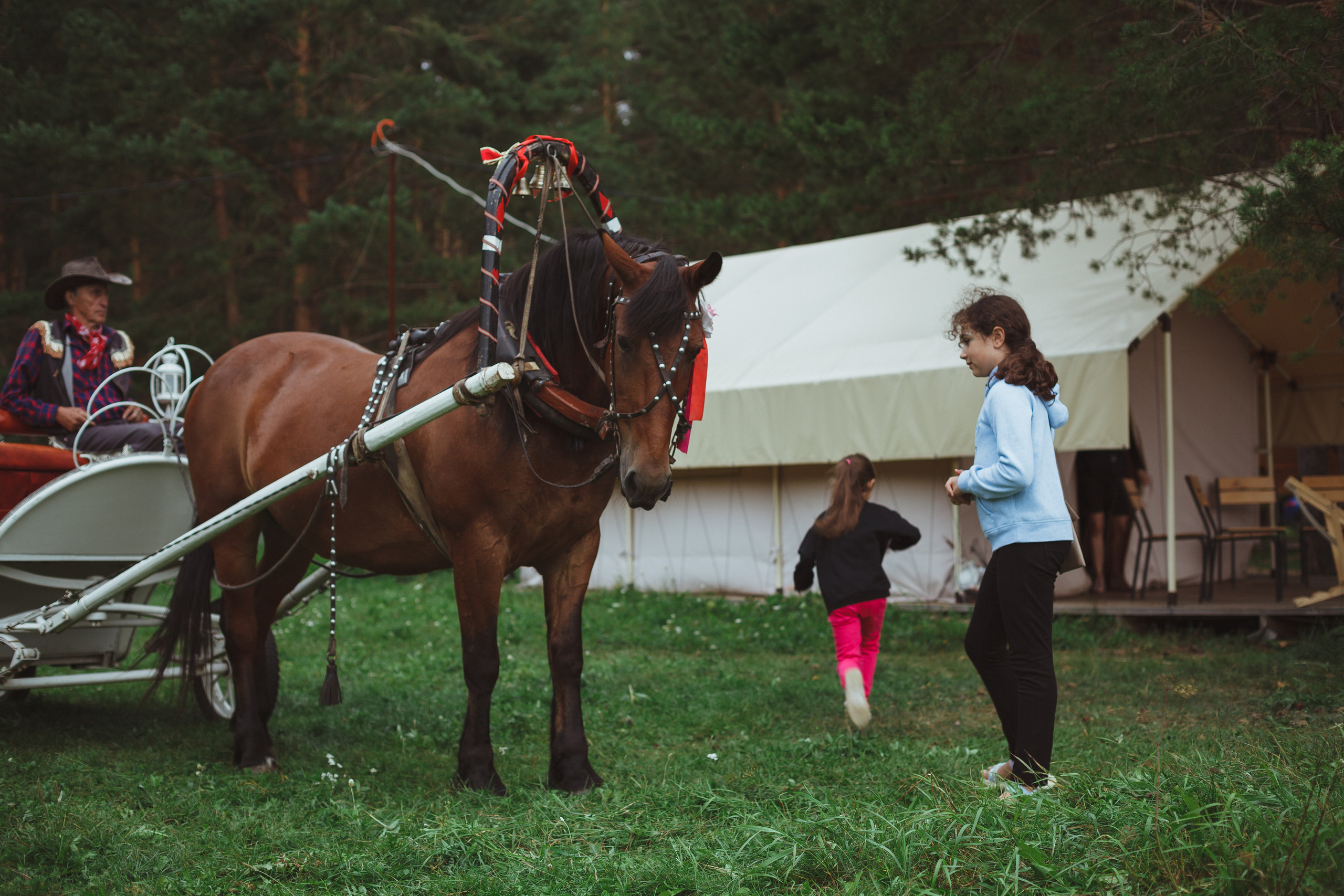Дивий Камень | Глэмпинг. Семейный и детский фотограф в Сухом Логу Ольга Кайгородова