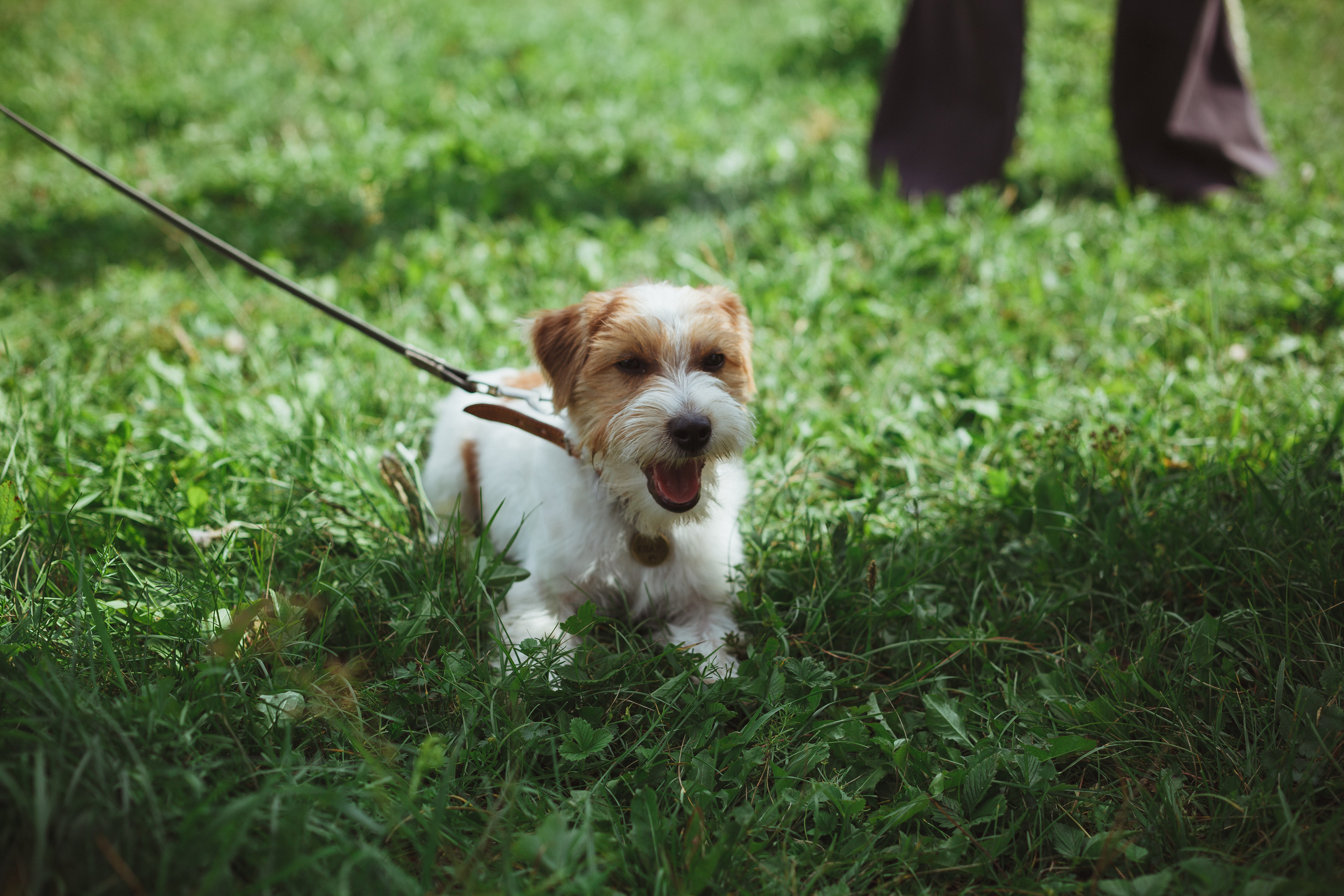 Дивий Камень | Глэмпинг. Семейный и детский фотограф в Сухом Логу Ольга Кайгородова
