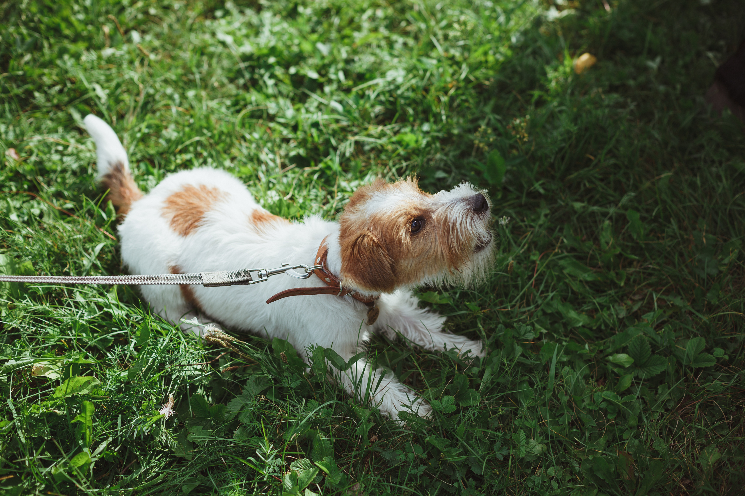 Дивий Камень | Глэмпинг. Семейный и детский фотограф в Сухом Логу Ольга Кайгородова