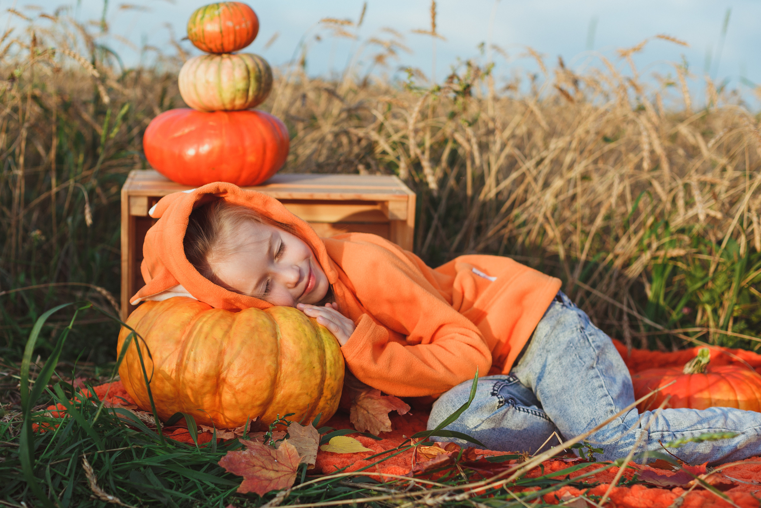 Лиса. Семейный и детский фотограф в Сухом Логу Ольга Кайгородова