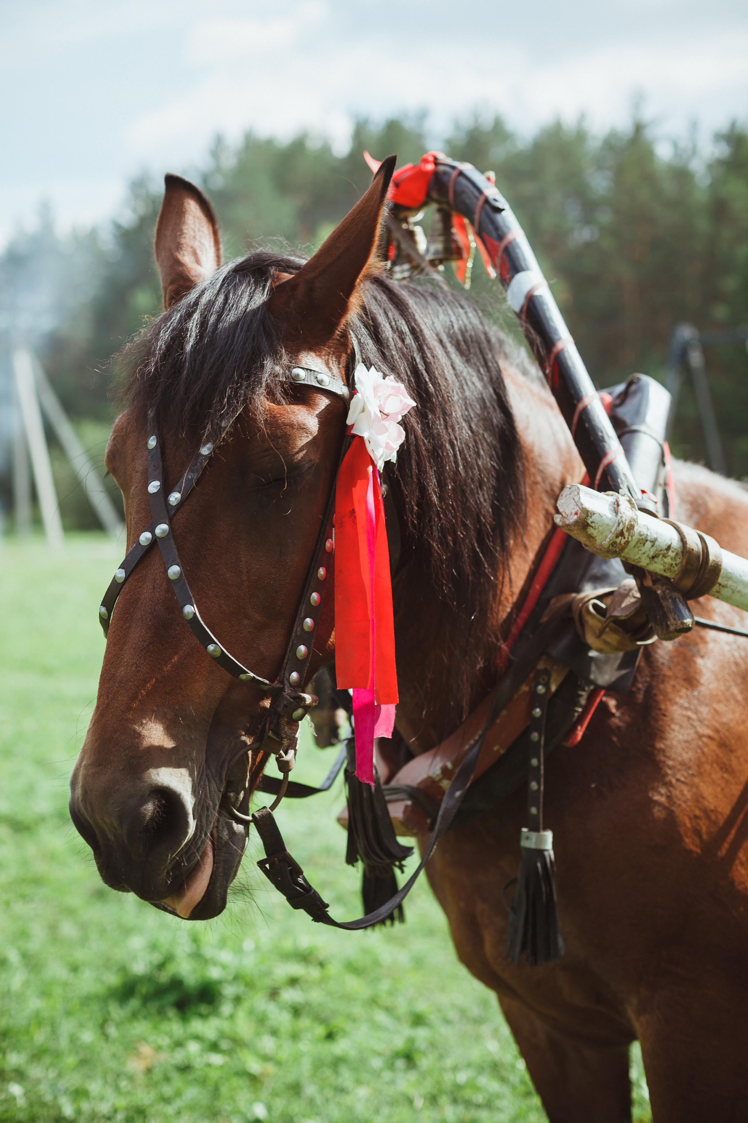 Дивий Камень | Глэмпинг. Семейный и детский фотограф в Сухом Логу Ольга Кайгородова