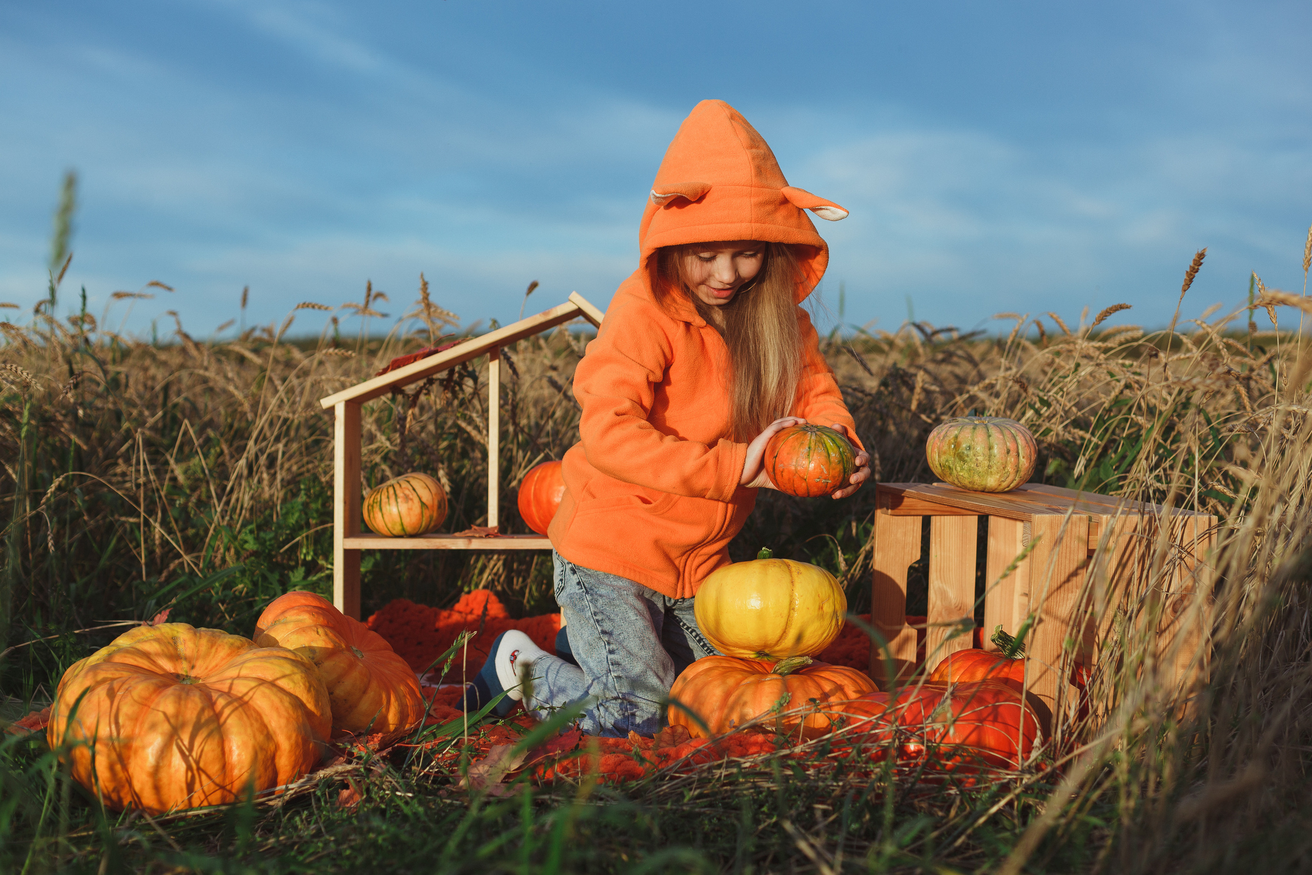 Лиса. Семейный и детский фотограф в Сухом Логу Ольга Кайгородова