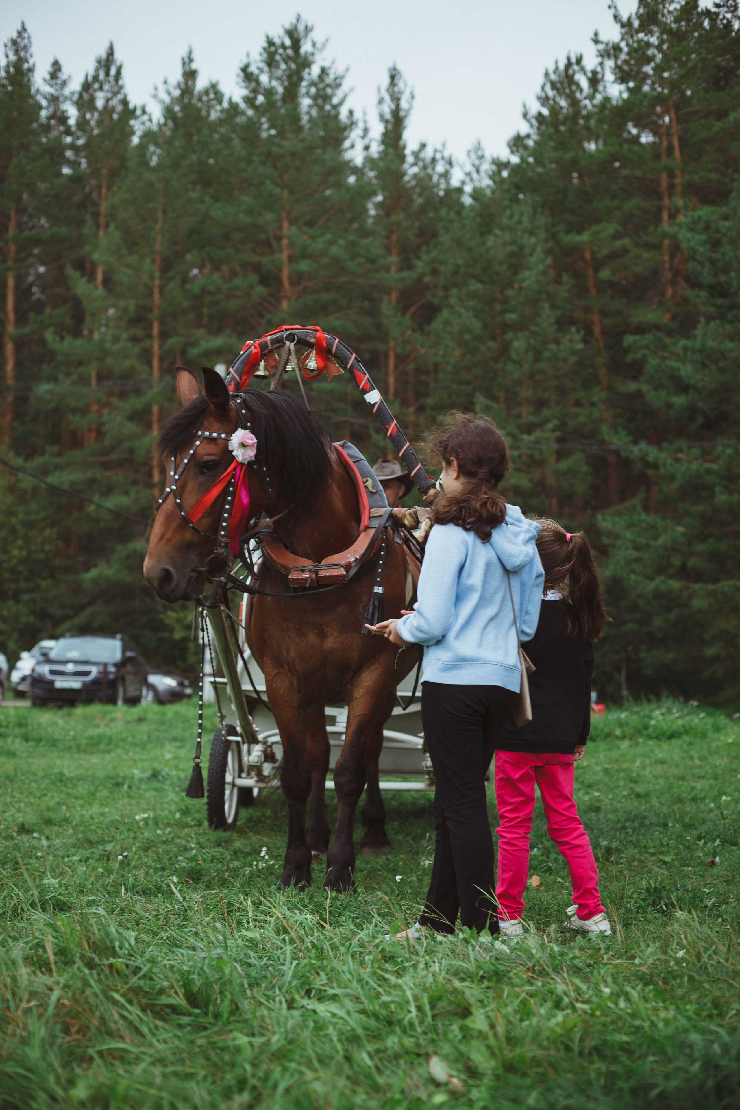 Дивий Камень | Глэмпинг. Семейный и детский фотограф в Сухом Логу Ольга Кайгородова