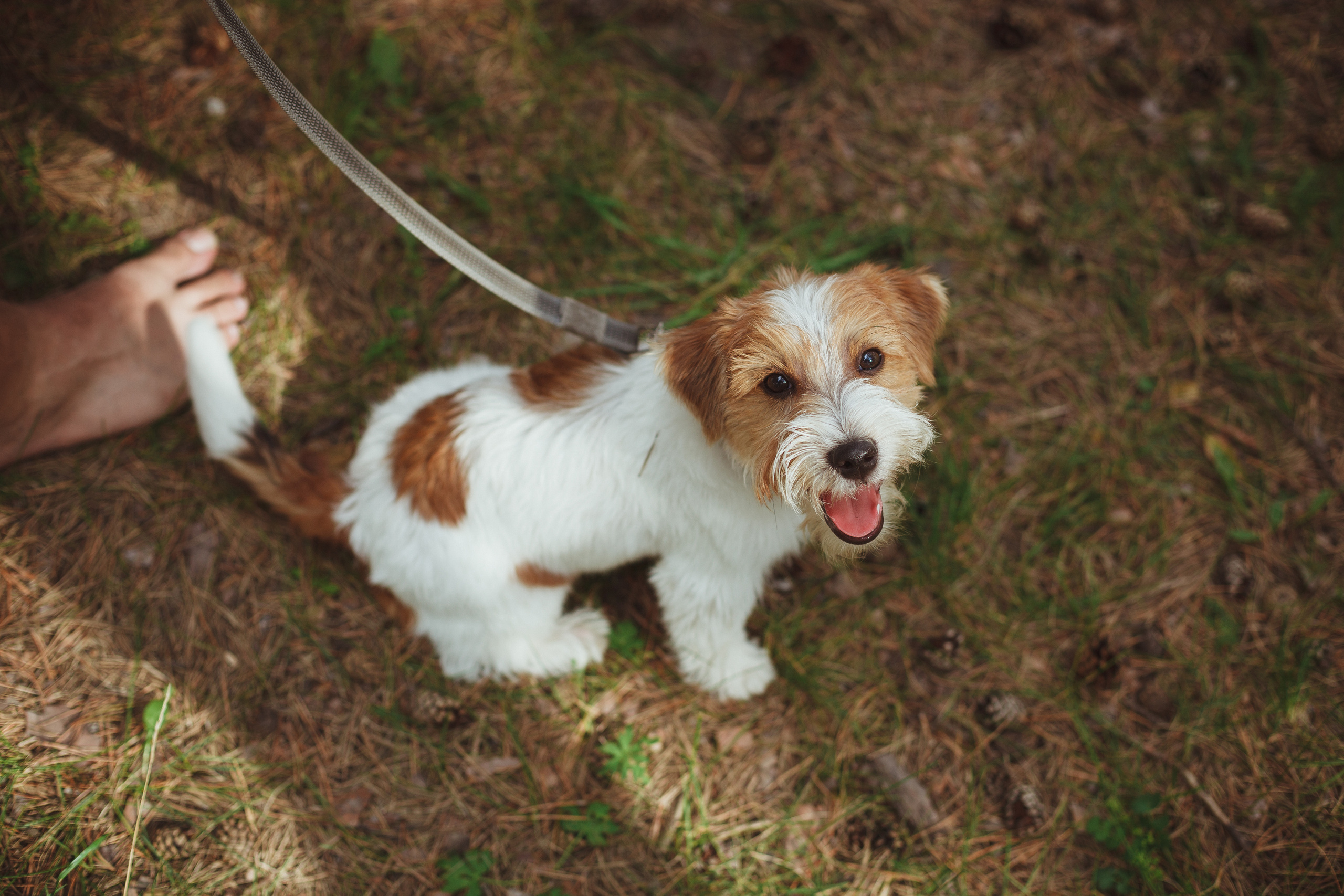 Дивий Камень | Глэмпинг. Семейный и детский фотограф в Сухом Логу Ольга Кайгородова