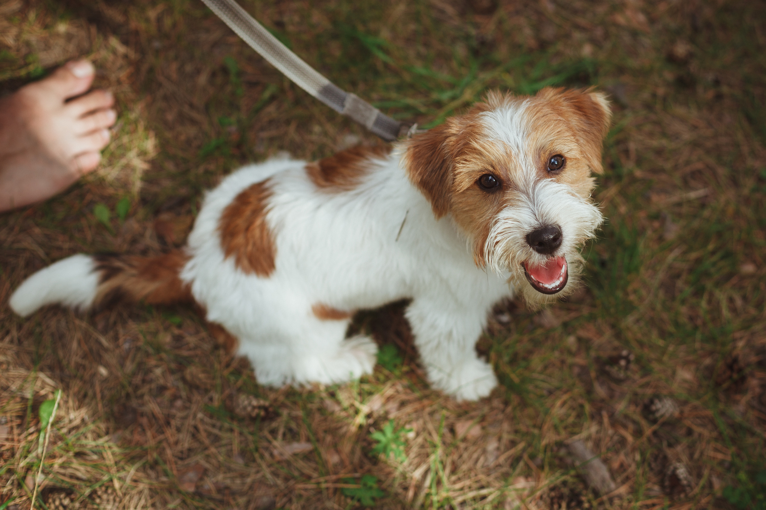 Дивий Камень | Глэмпинг. Семейный и детский фотограф в Сухом Логу Ольга Кайгородова