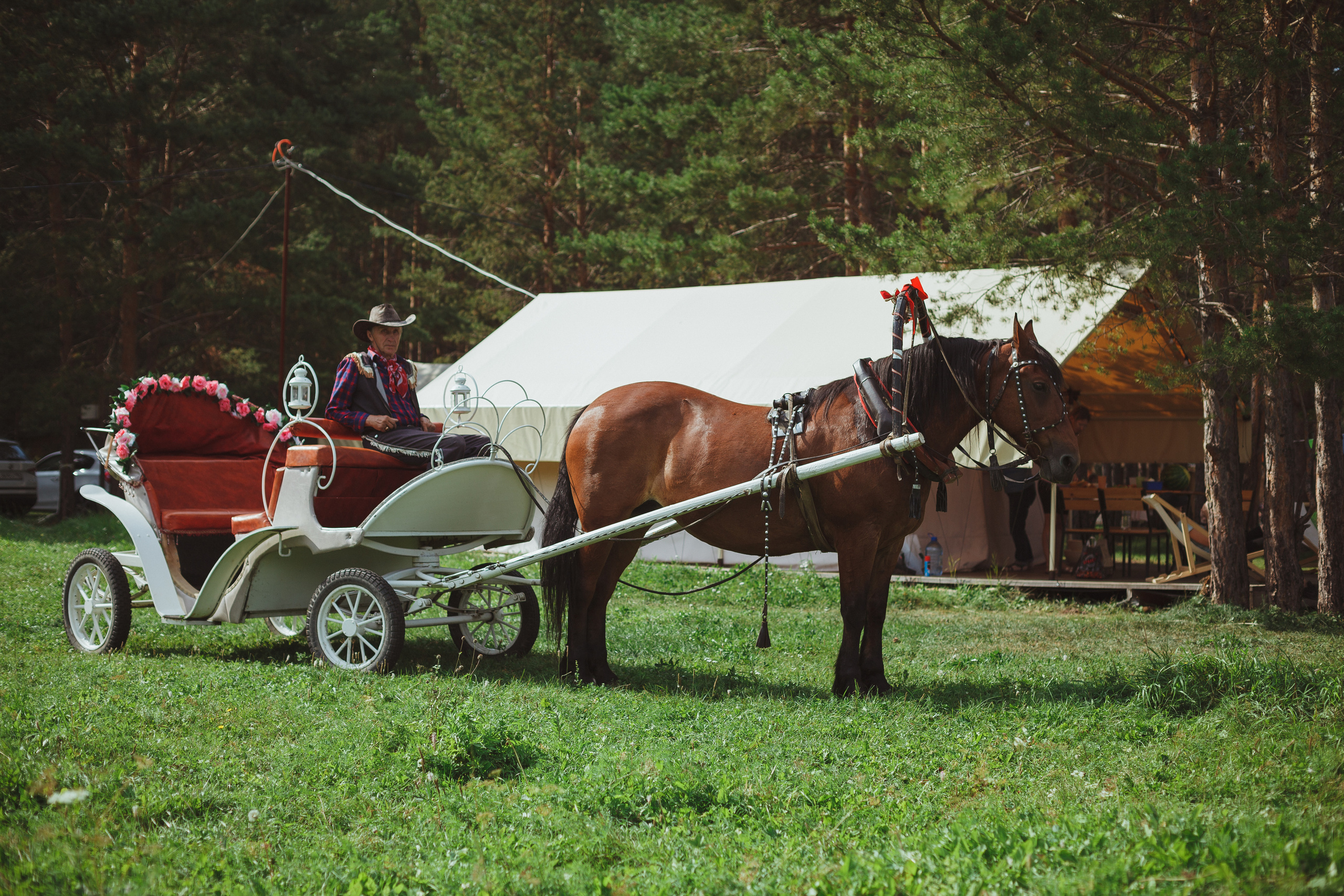 Дивий Камень | Глэмпинг. Семейный и детский фотограф в Сухом Логу Ольга Кайгородова