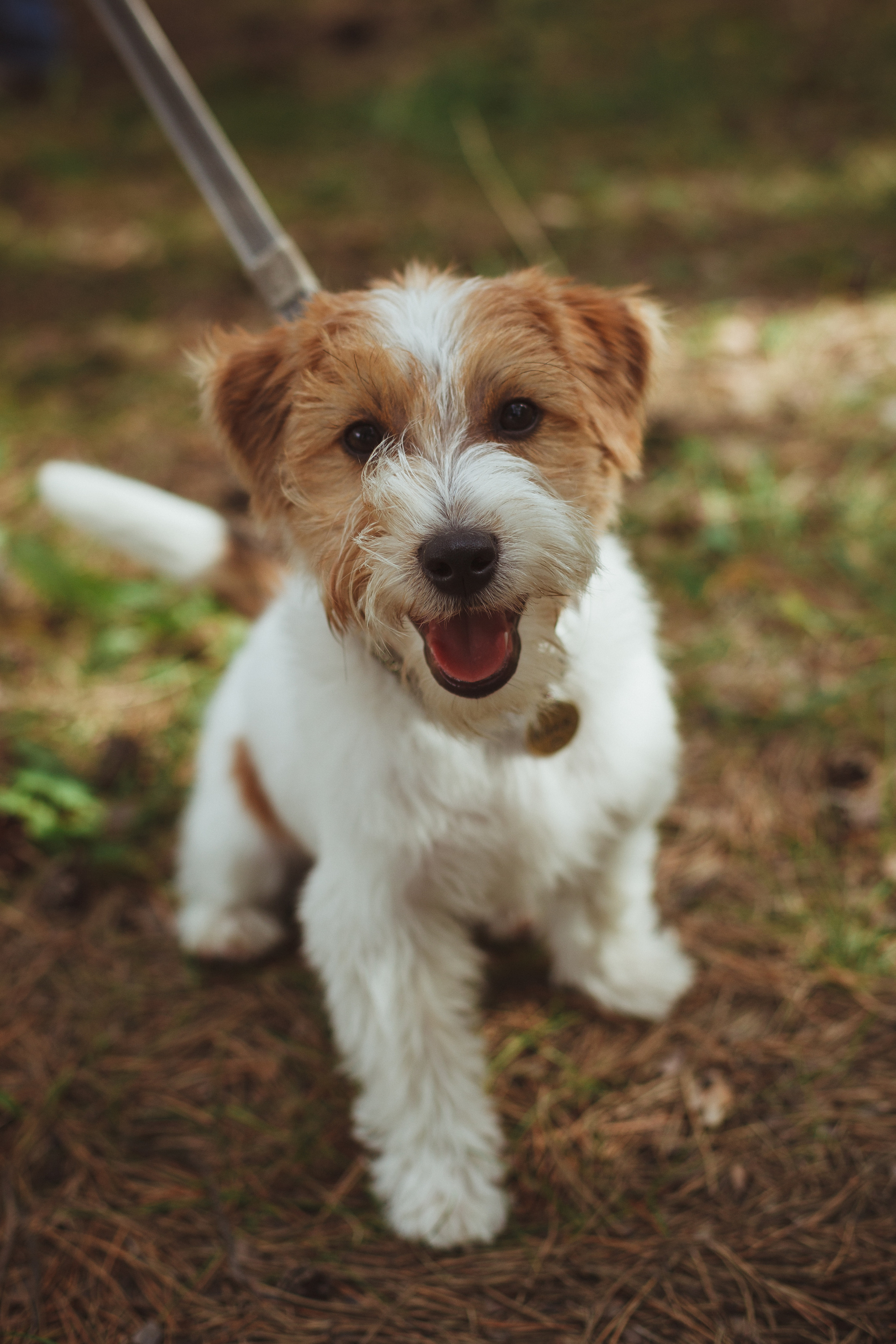 Дивий Камень | Глэмпинг. Семейный и детский фотограф в Сухом Логу Ольга Кайгородова