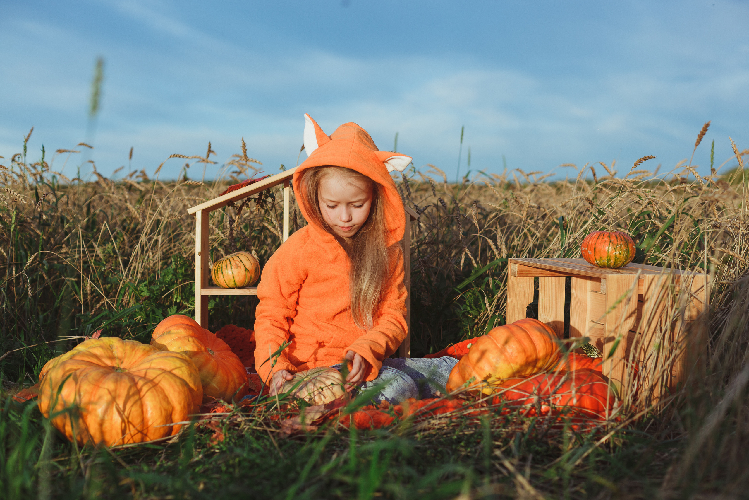 Лиса. Семейный и детский фотограф в Сухом Логу Ольга Кайгородова