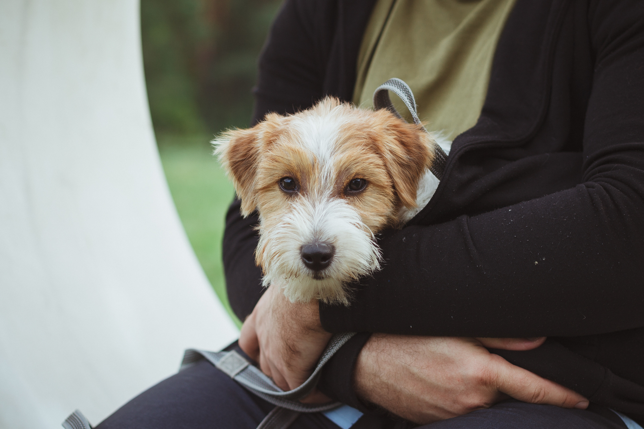 Дивий Камень | Глэмпинг. Семейный и детский фотограф в Сухом Логу Ольга Кайгородова