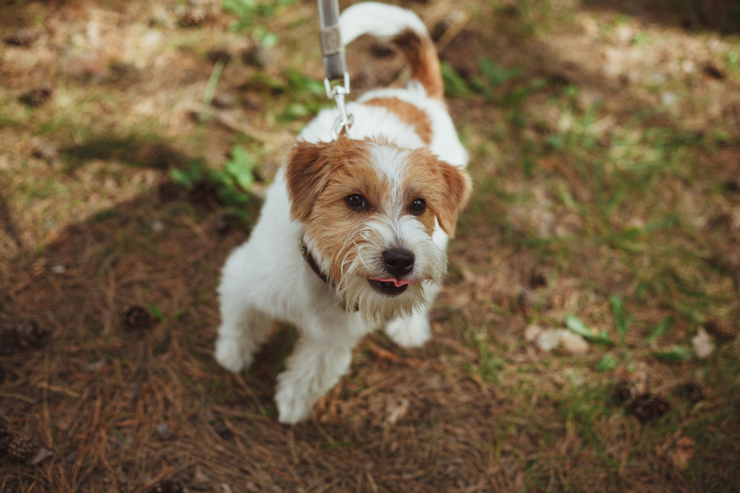 Дивий Камень | Глэмпинг. Семейный и детский фотограф в Сухом Логу Ольга Кайгородова