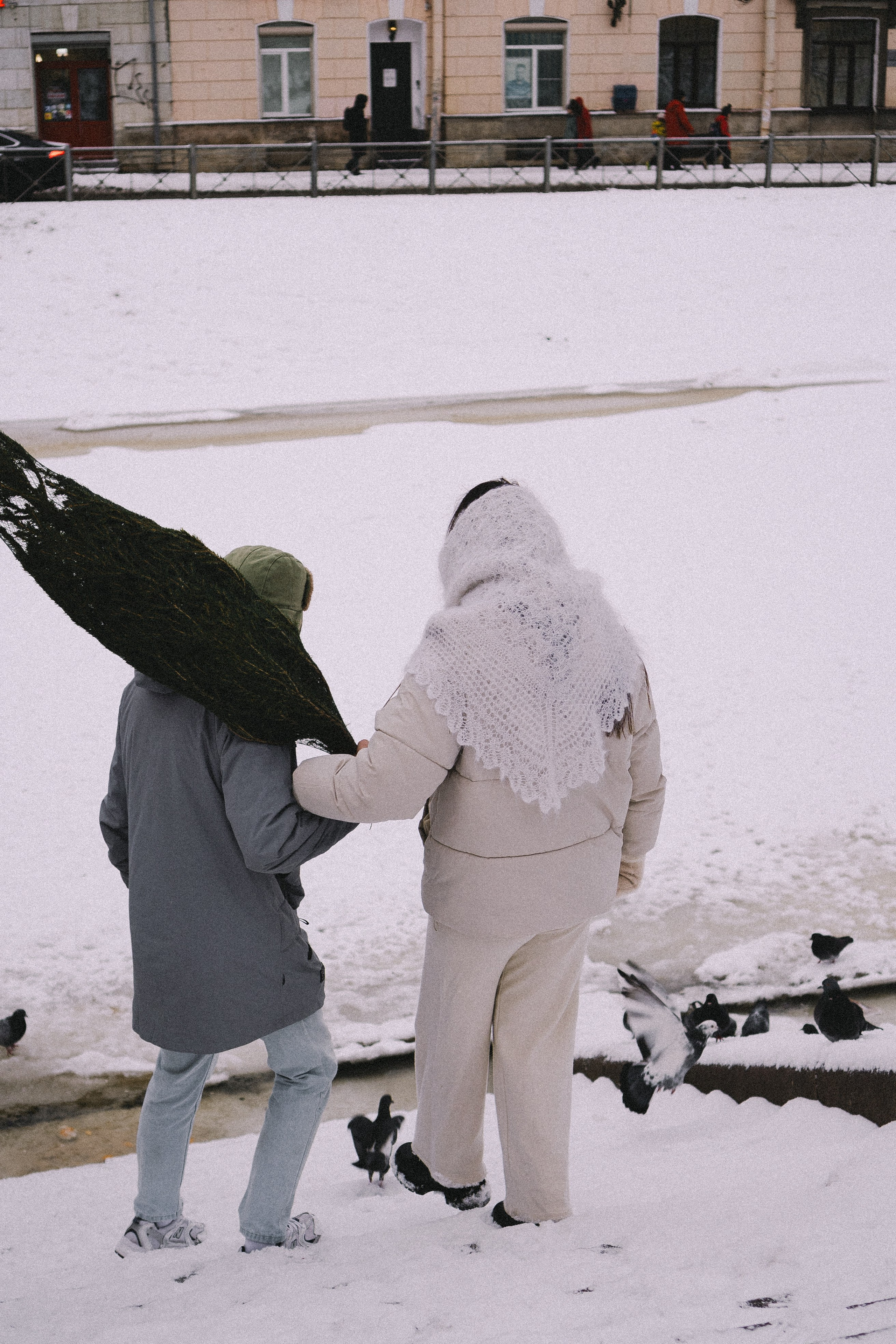 Зимняя история. Профессиональный фотограф, Санкт-Петербург — Виктория Богомолова