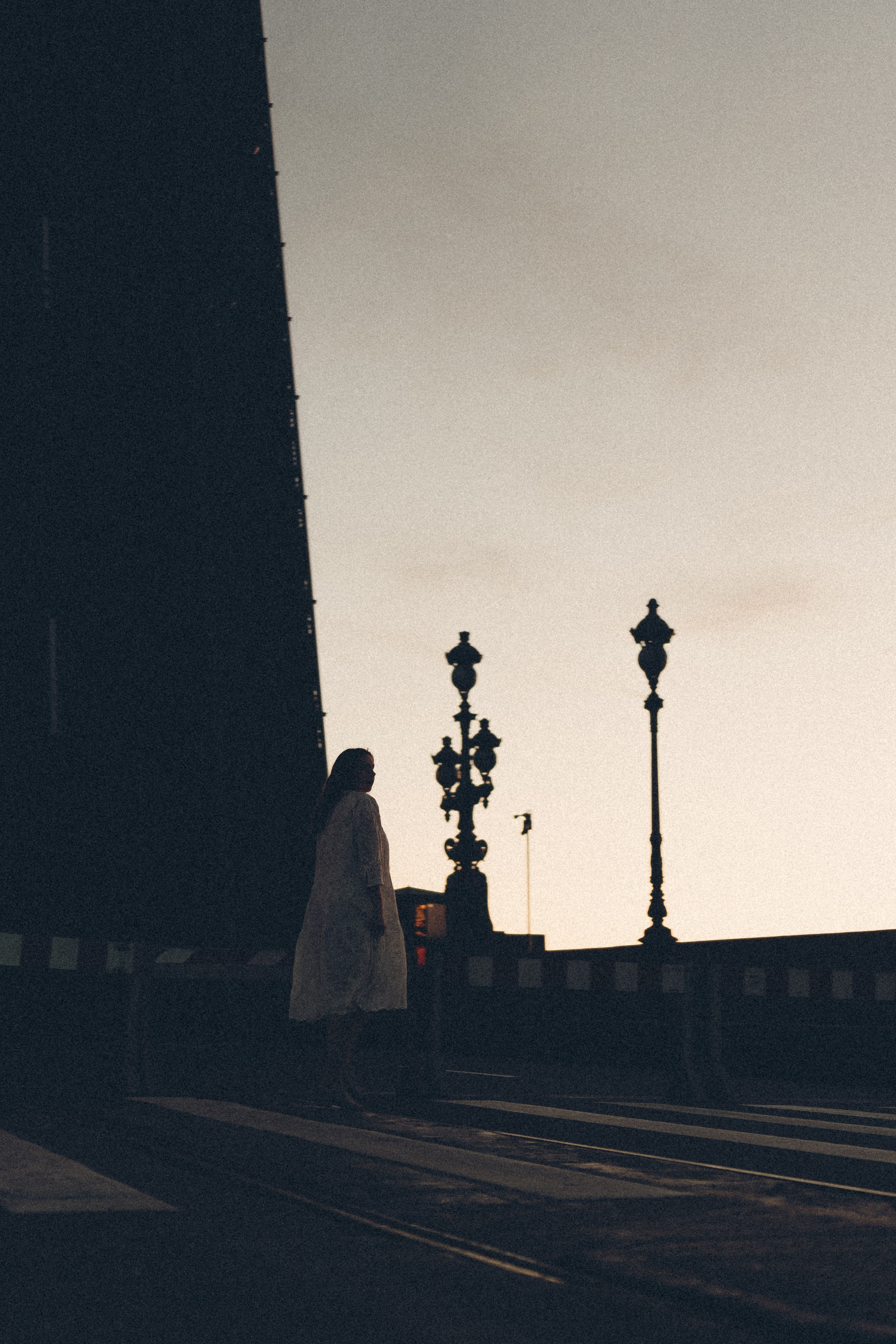 РАССВЕТ С РАЗВОДНЫМИ МОСТАМИ. Профессиональный фотограф, Санкт-Петербург — Виктория Богомолова