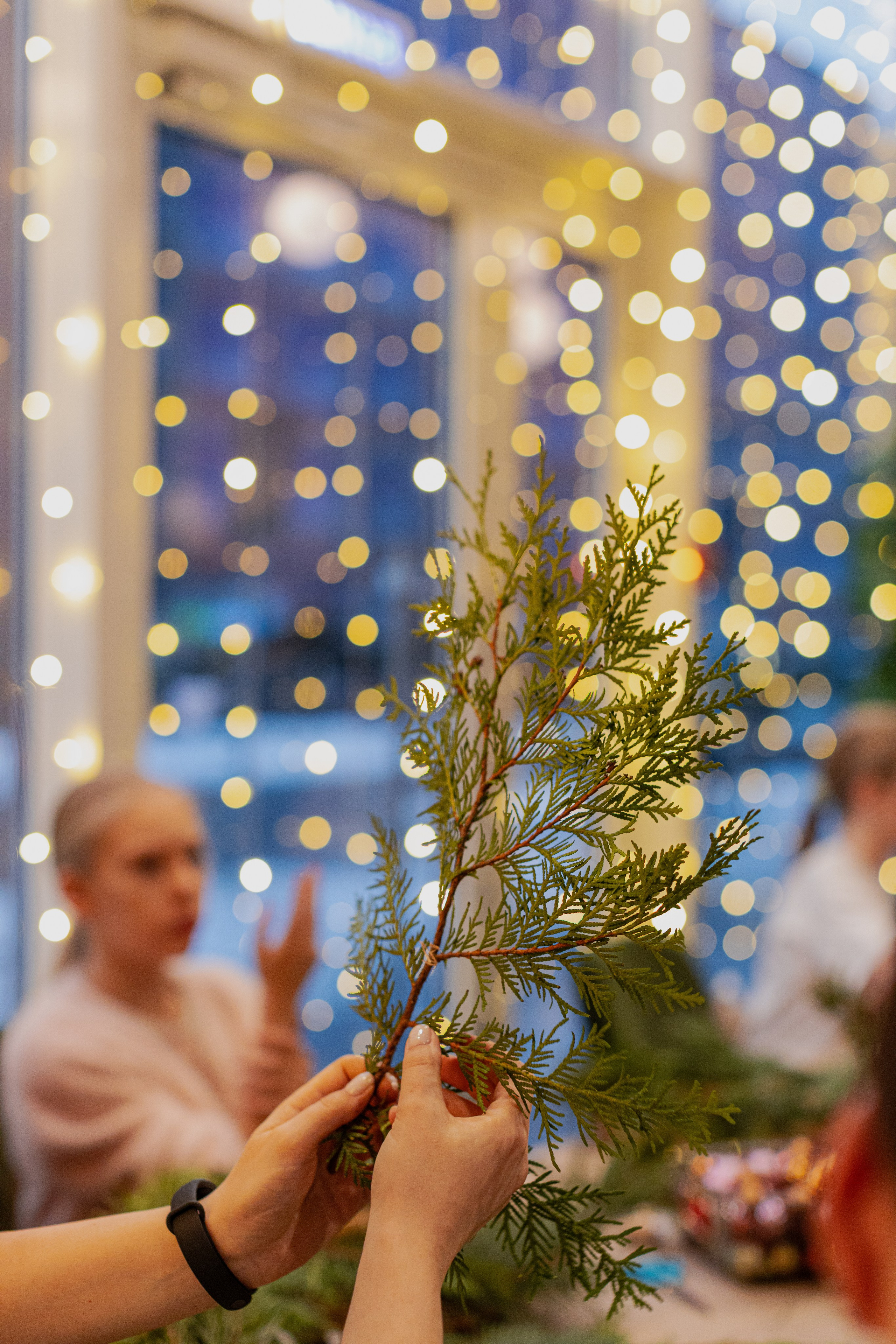 Мк Новогодний Венок. Анастасия Ракчеева Художник