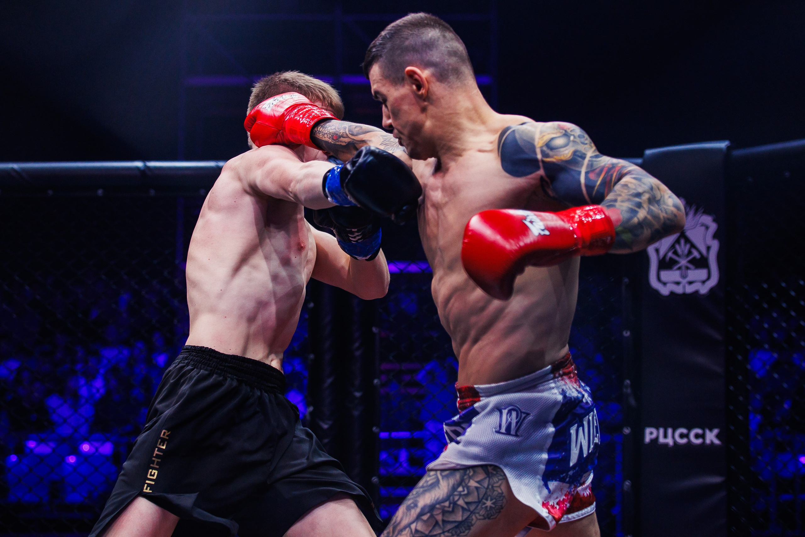 Битва за добро 2023. Photographer Danil Aykin